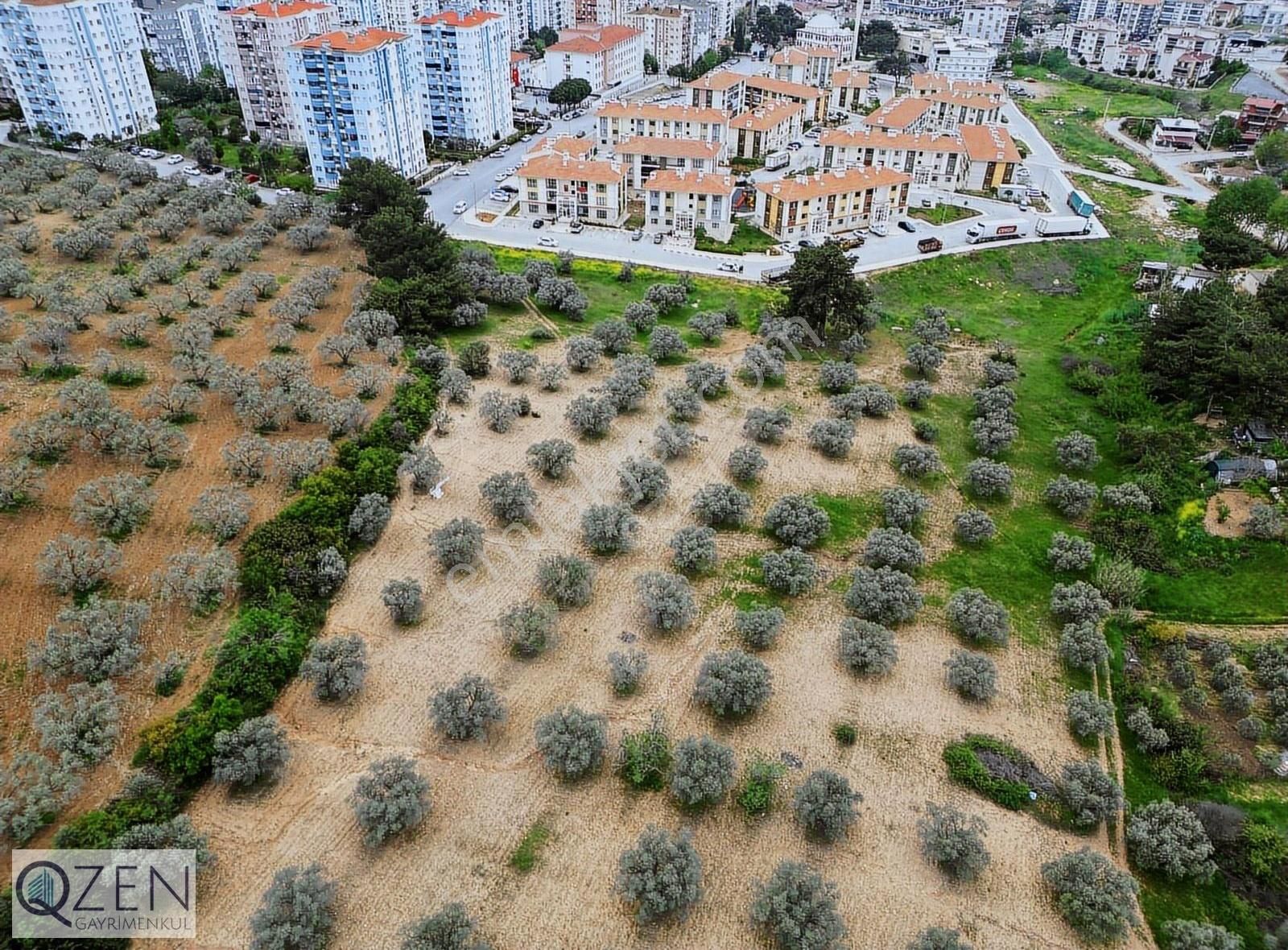 Q'zen Den Toki Karşısında İmar Sınırında 12.800 M² Tarla - Görsel 6