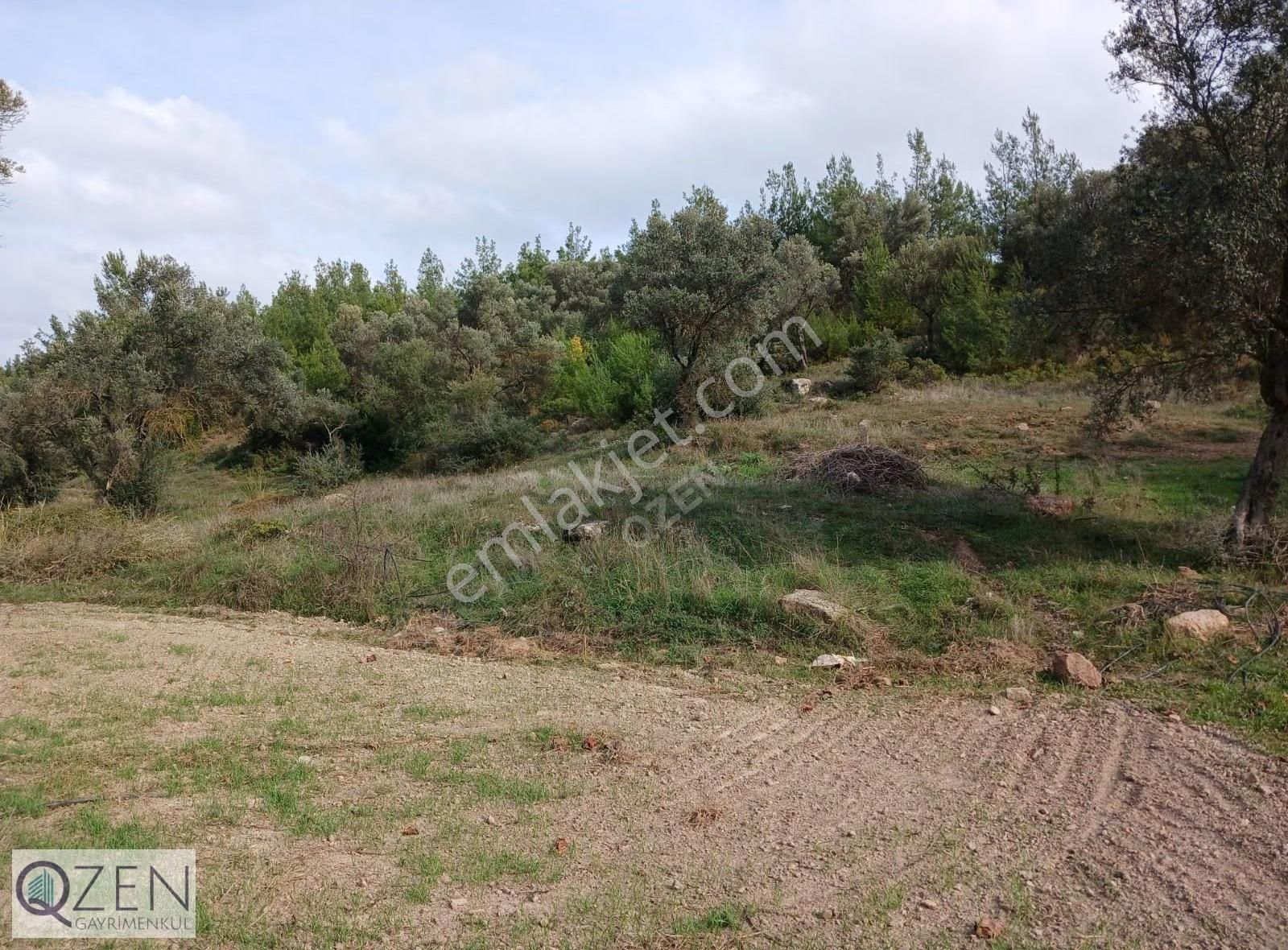 Ana Caddeye Ve Köye Yakın Elk,suyu Olan Tek Tapu Tarla Satılık - Görsel 15