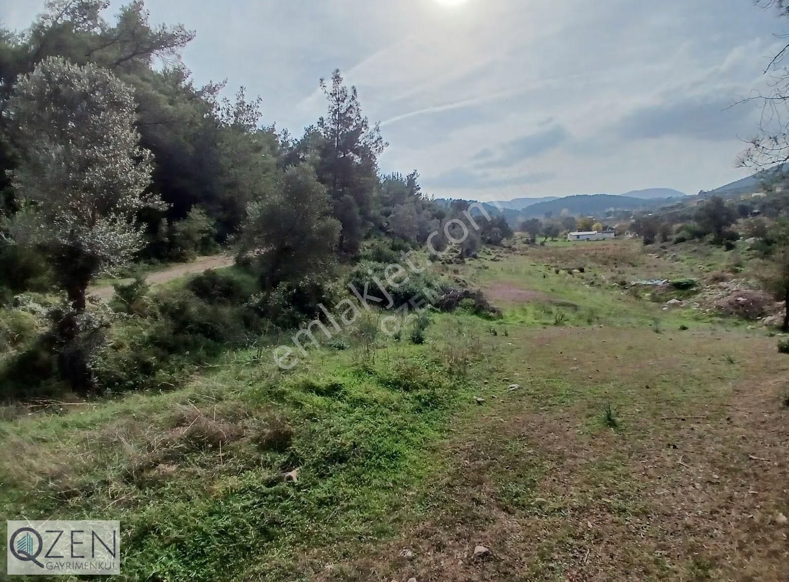 Ana Caddeye Ve Köye Yakın Elk,suyu Olan Tek Tapu Tarla Satılık - Görsel 5