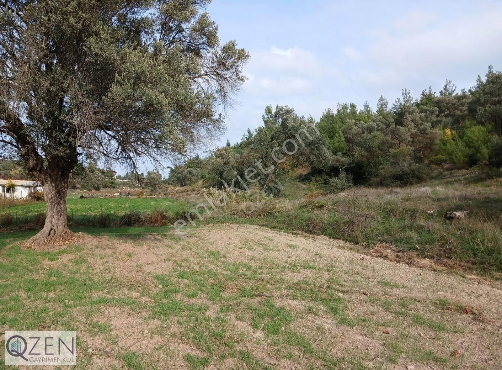 Ana Caddeye Ve Köye Yakın Elk,suyu Olan Tek Tapu Tarla Satılık - Görsel 29