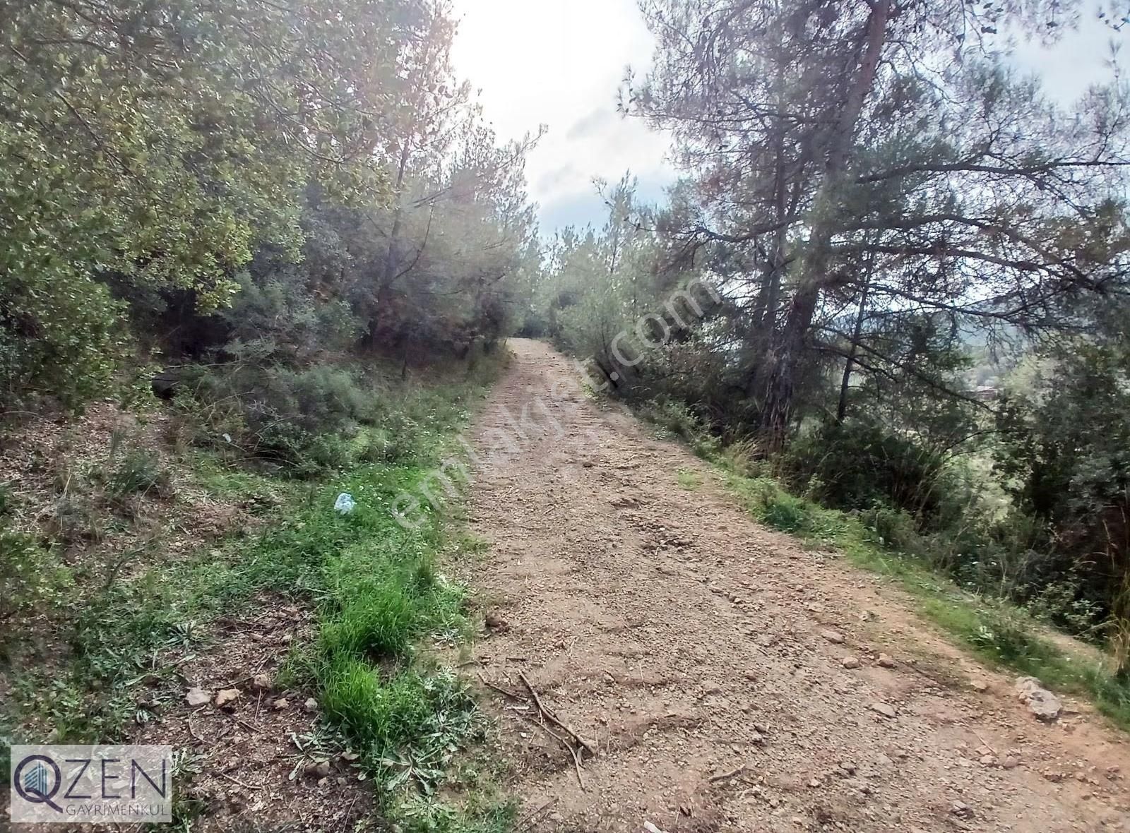 Ana Caddeye Ve Köye Yakın Elk,suyu Olan Tek Tapu Tarla Satılık - Görsel 14