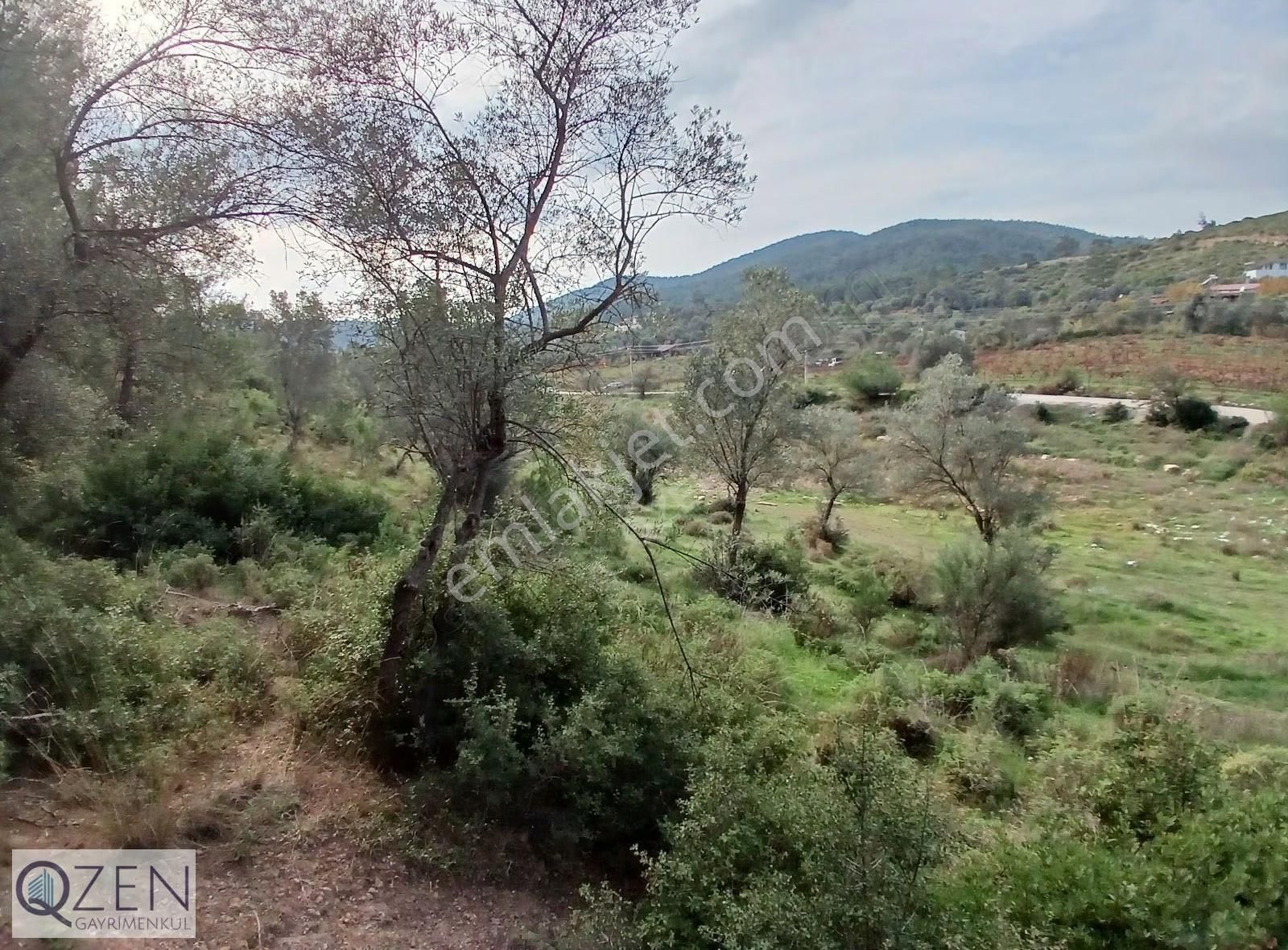 Ana Caddeye Ve Köye Yakın Elk,suyu Olan Tek Tapu Tarla Satılık - Görsel 32