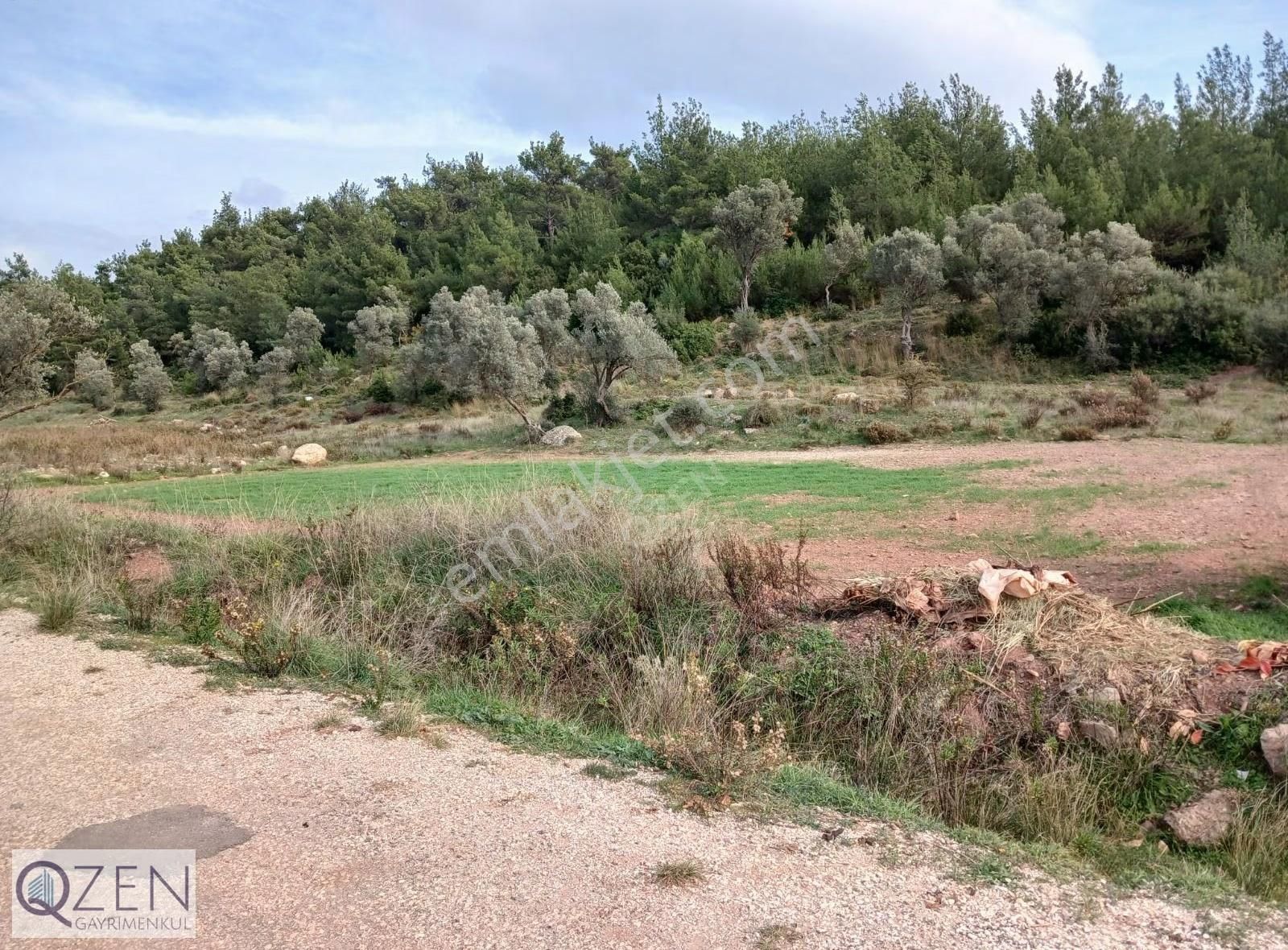 Ana Caddeye Ve Köye Yakın Elk,suyu Olan Tek Tapu Tarla Satılık - Görsel 10