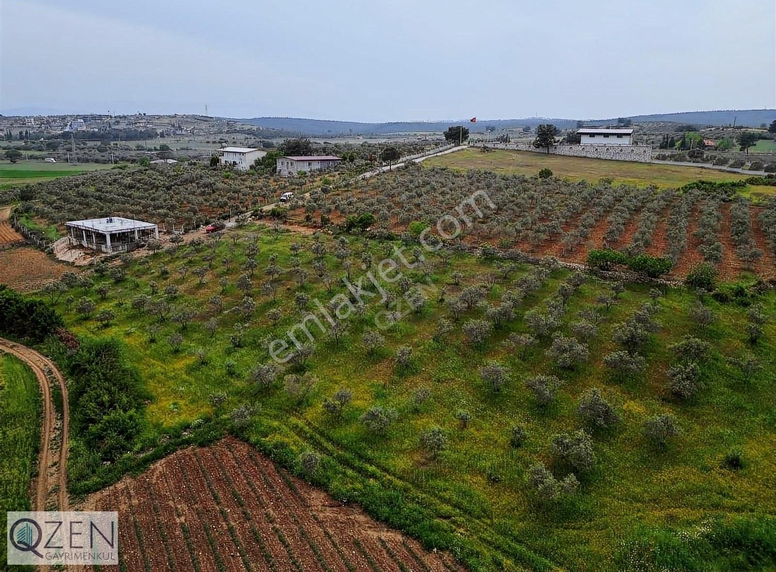 Q'zen Den İmara Yakın Tek Tapu Tarla - Görsel 3