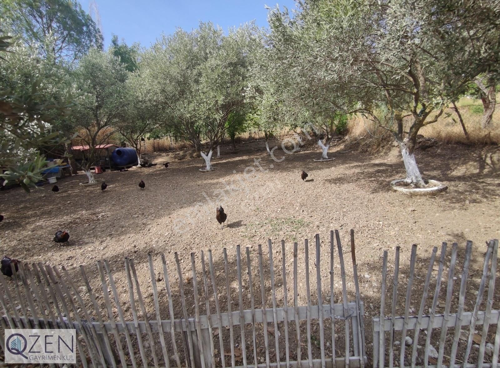 Q'zen Den 1304 M² Köyiçi İmarlı Müstakil (tek Tapu) Arsa - Görsel 11