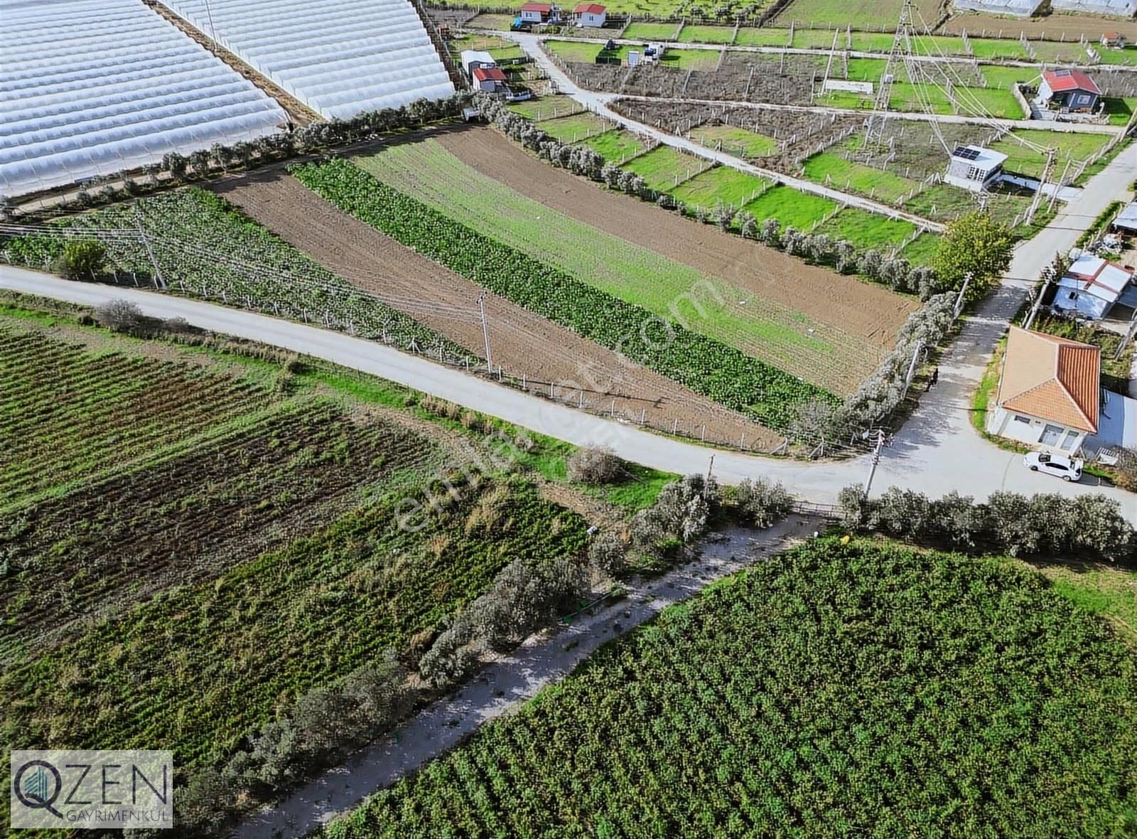 Q'zen Den Degirmenderede 5902 M² Tek Tapu Tarla - Görsel 3