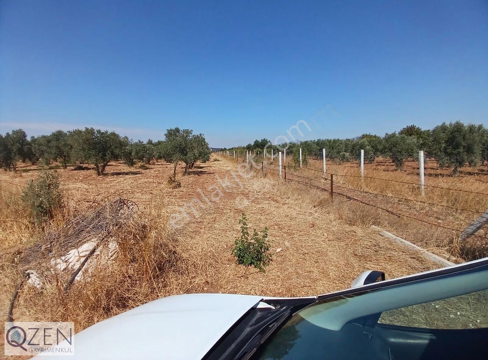 Qzen Gayrimenkulden Oğlananasıda 1250 M2 Tek Tapu Tarla - Görsel 8