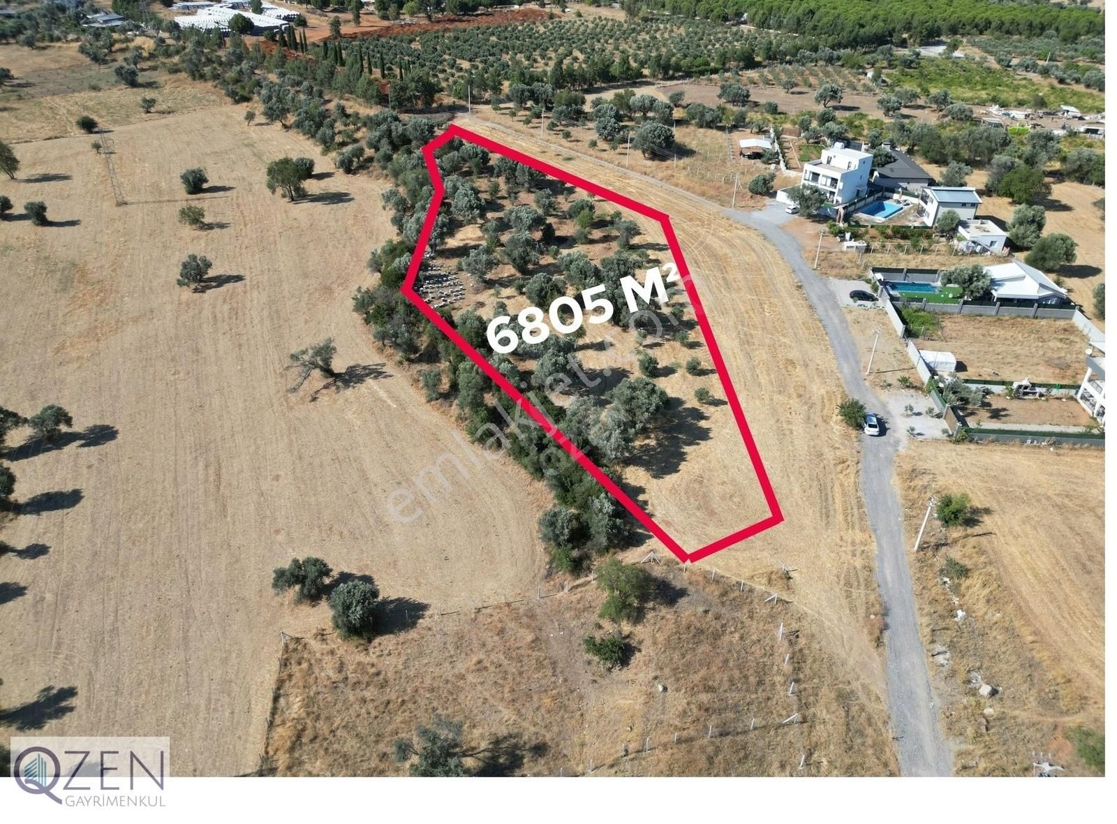 Qzen'den Görece De 6805 M2 Tek Tapu Zeytinlik