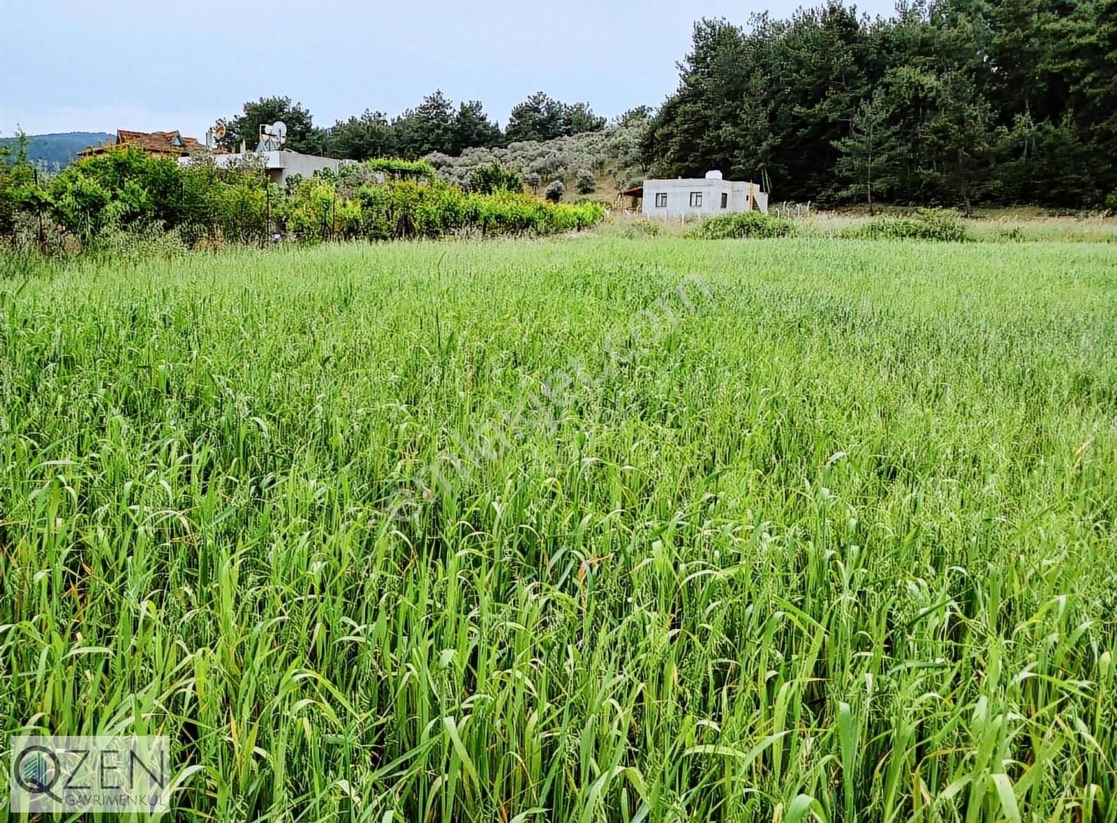 Atatköyde Ana Yola Yakın 1769m Tek Tapu Tarla - Görsel 2
