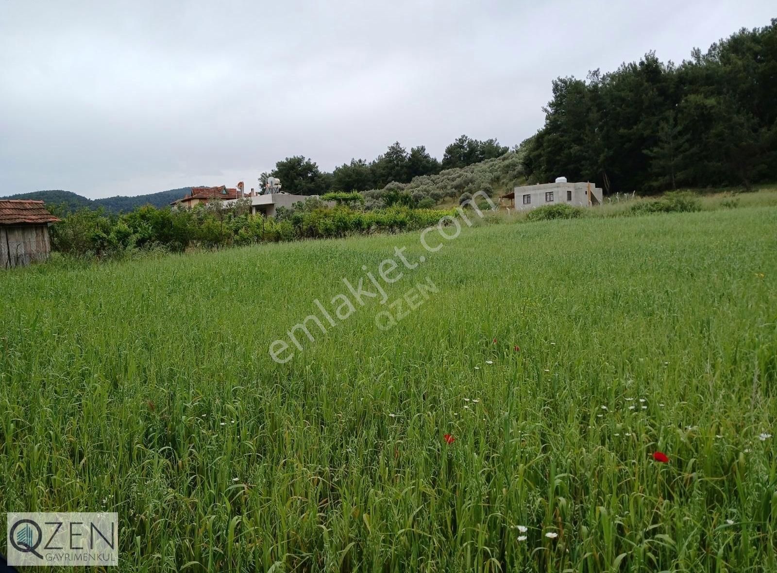Atatköyde Ana Yola Yakın 1769m Tek Tapu Tarla - Görsel 22
