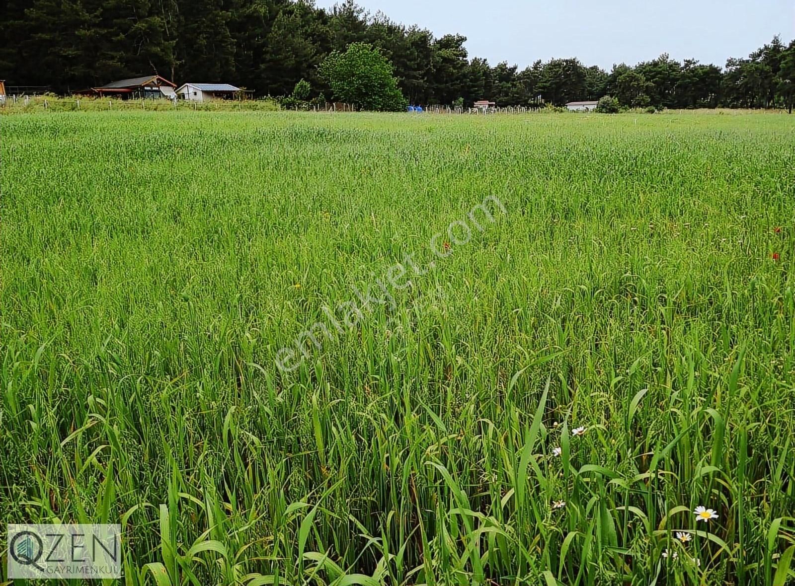 Atatköyde Ana Yola Yakın 1769m Tek Tapu Tarla - Görsel 16