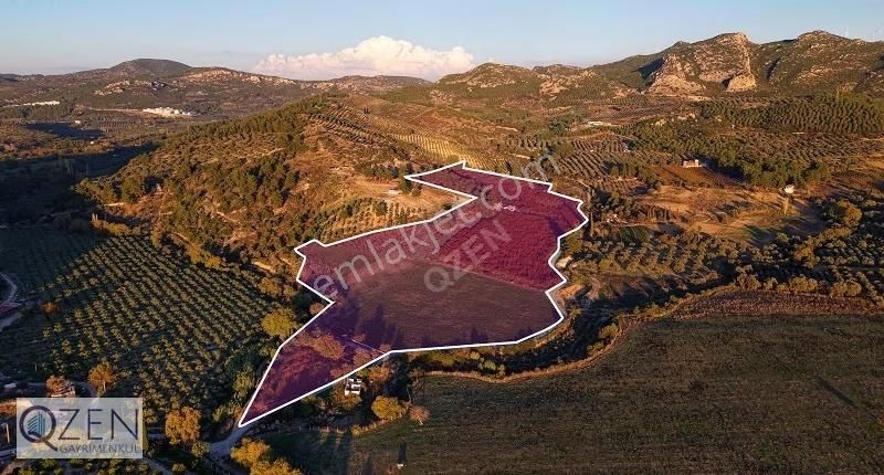 5000'lik İmar İçinde Deniz Manzaralı 85 Dönüm Tarla - Görsel 13