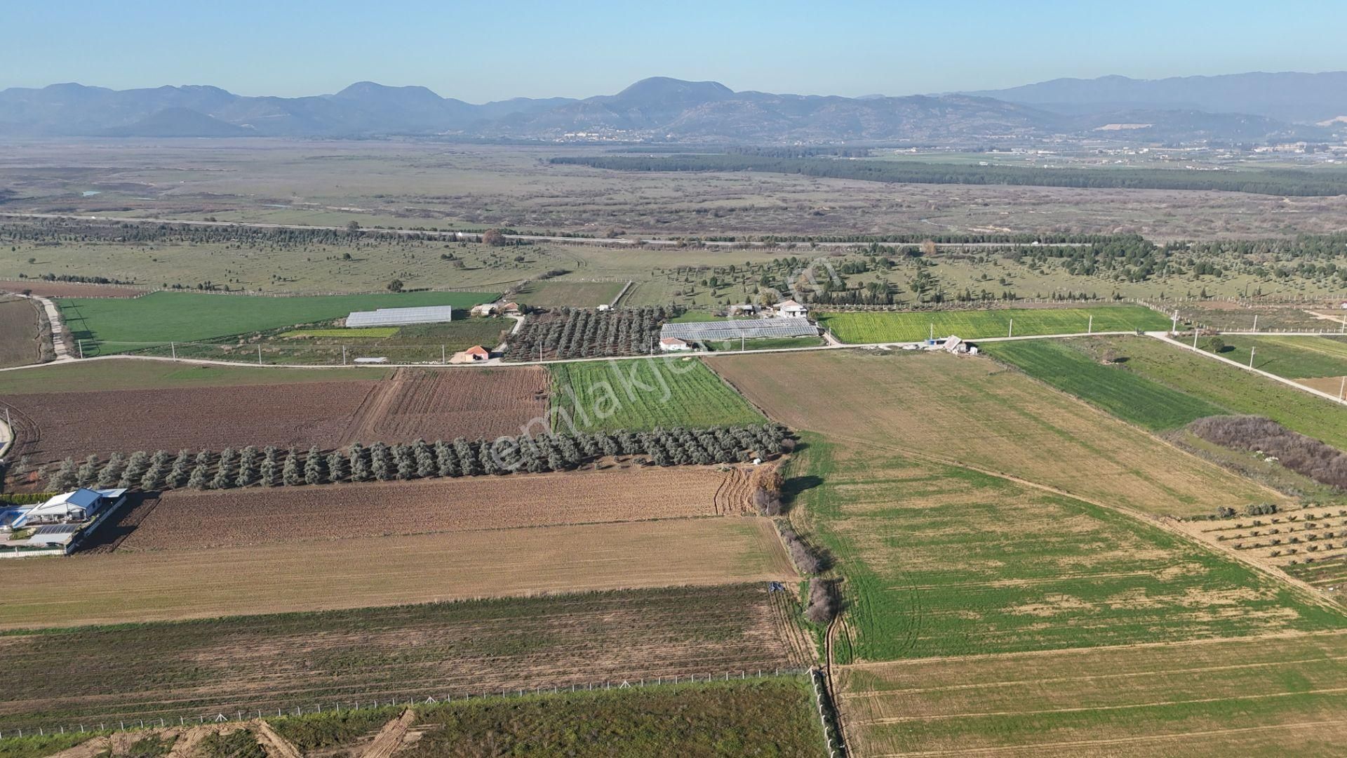 İzmir Menderes Tekelide 7 Dönüm Arsa 3+1 Ev Elektrik Su Kiralık Çiftlik - Görsel 14