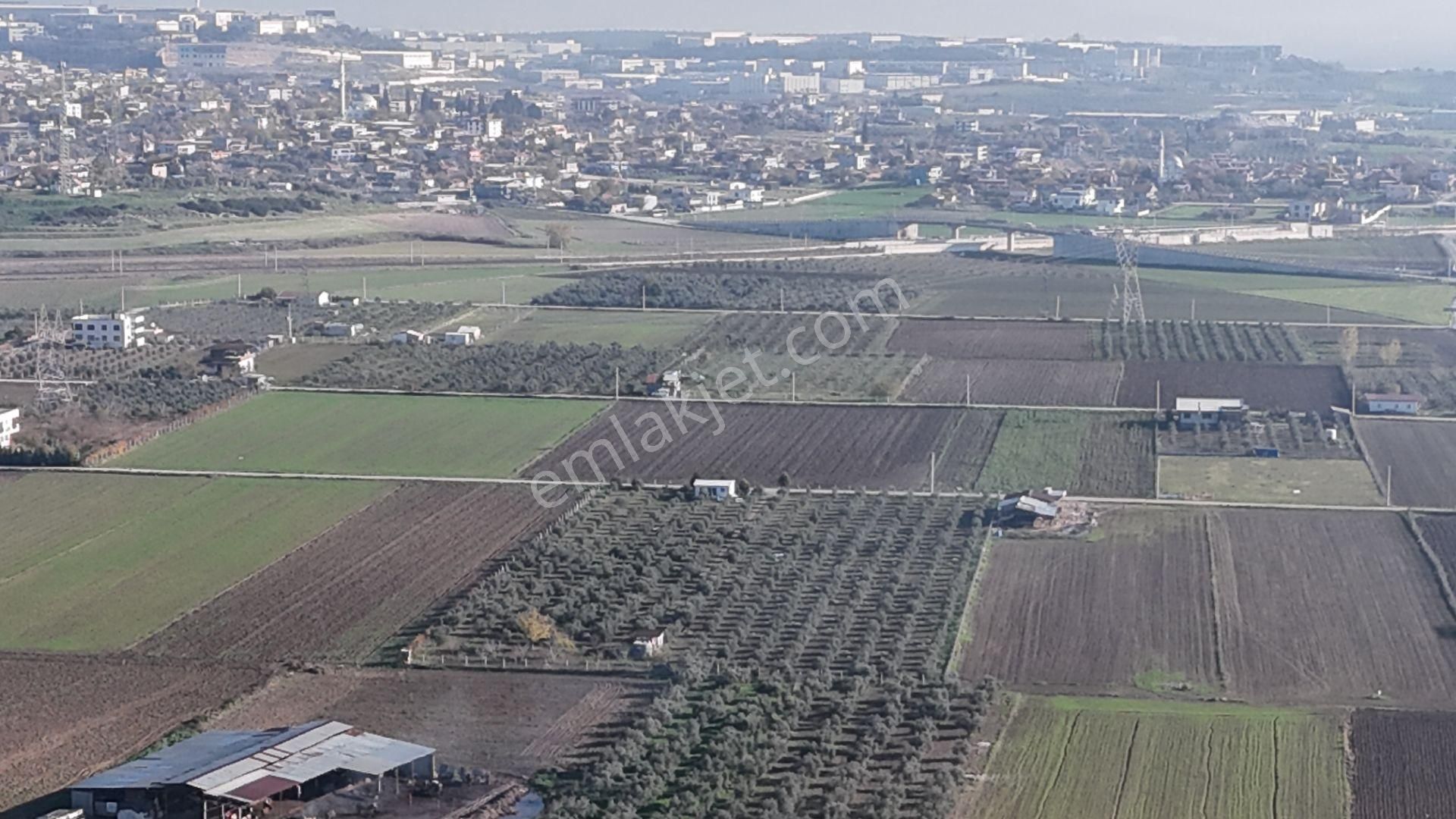 İzmir Menderes Tekelide 7 Dönüm Arsa 3+1 Ev Elektrik Su Kiralık Çiftlik - Görsel 21