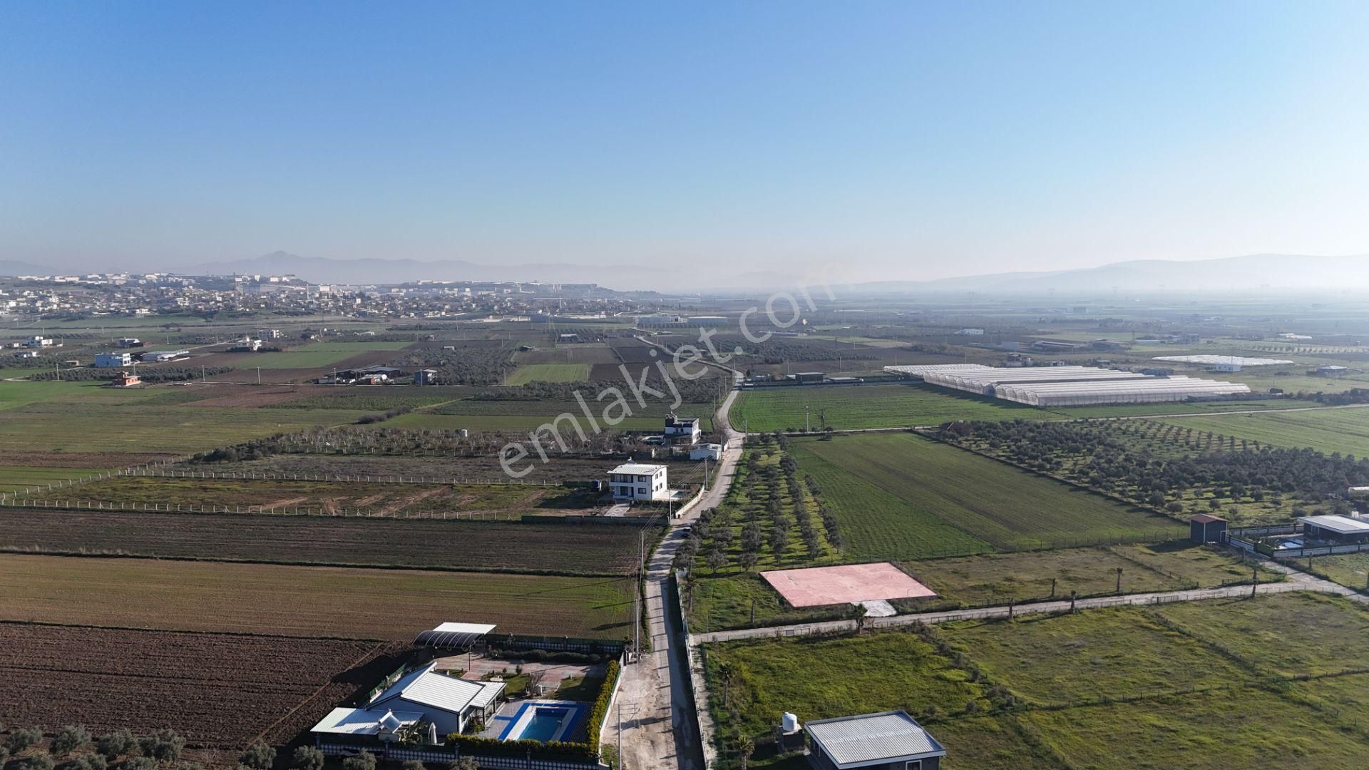 İzmir Menderes Tekelide 7 Dönüm Arsa 3+1 Ev Elektrik Su Kiralık Çiftlik - Görsel 32