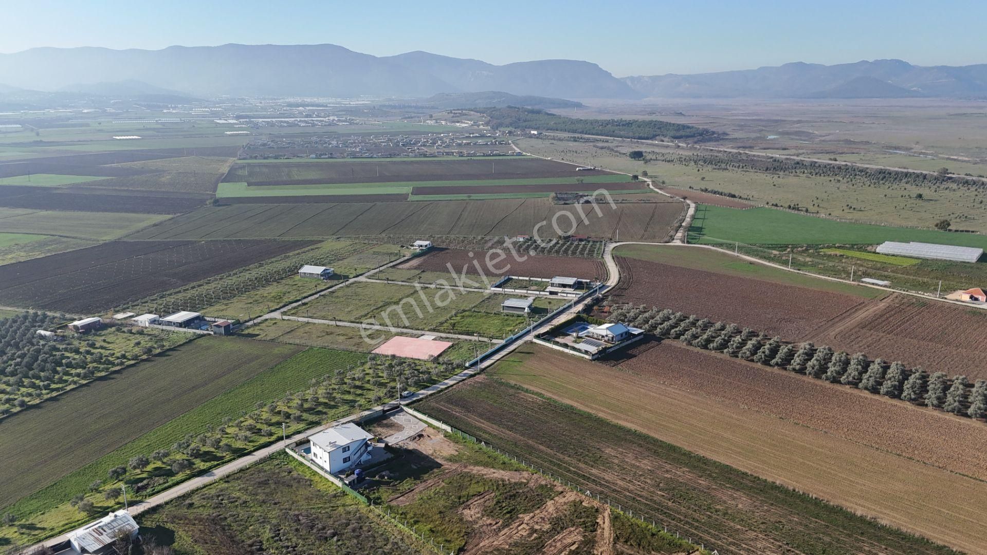 İzmir Menderes Tekelide 7 Dönüm Arsa 3+1 Ev Elektrik Su Kiralık Çiftlik - Görsel 19