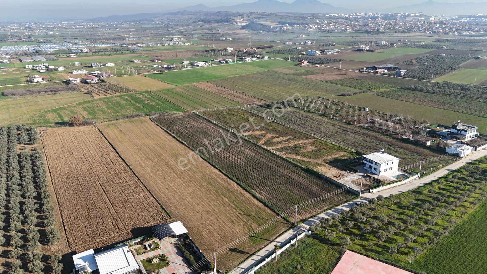 İzmir Menderes Tekelide 7 Dönüm Arsa 3+1 Ev Elektrik Su Kiralık Çiftlik - Görsel 6