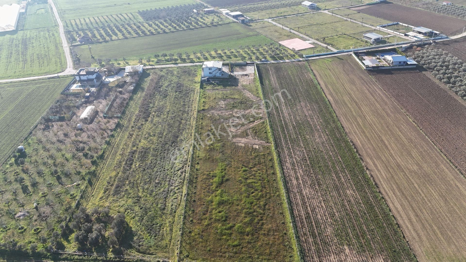 İzmir Menderes Tekelide 7 Dönüm Arsa 3+1 Ev Elektrik Su Kiralık Çiftlik - Görsel 22