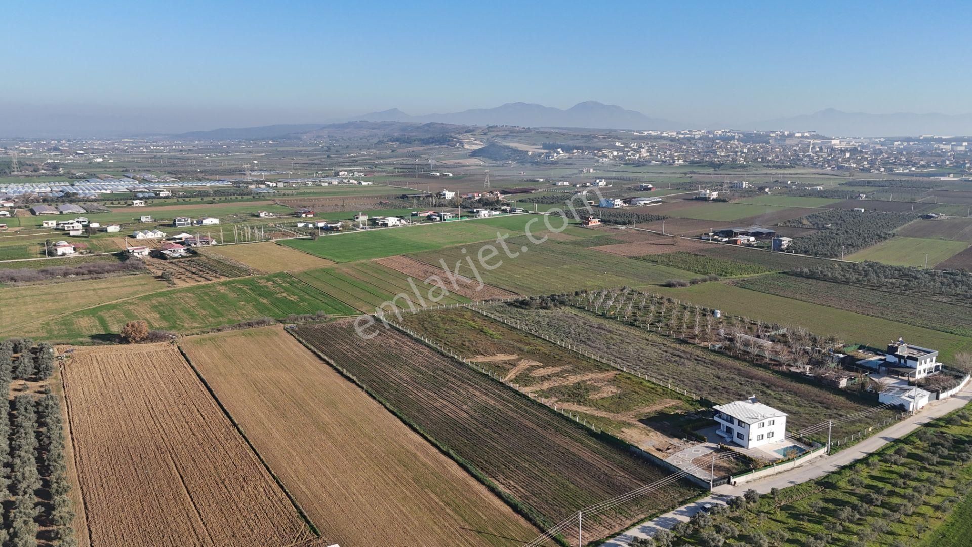 İzmir Menderes Tekelide 7 Dönüm Arsa 3+1 Ev Elektrik Su Kiralık Çiftlik - Görsel 20