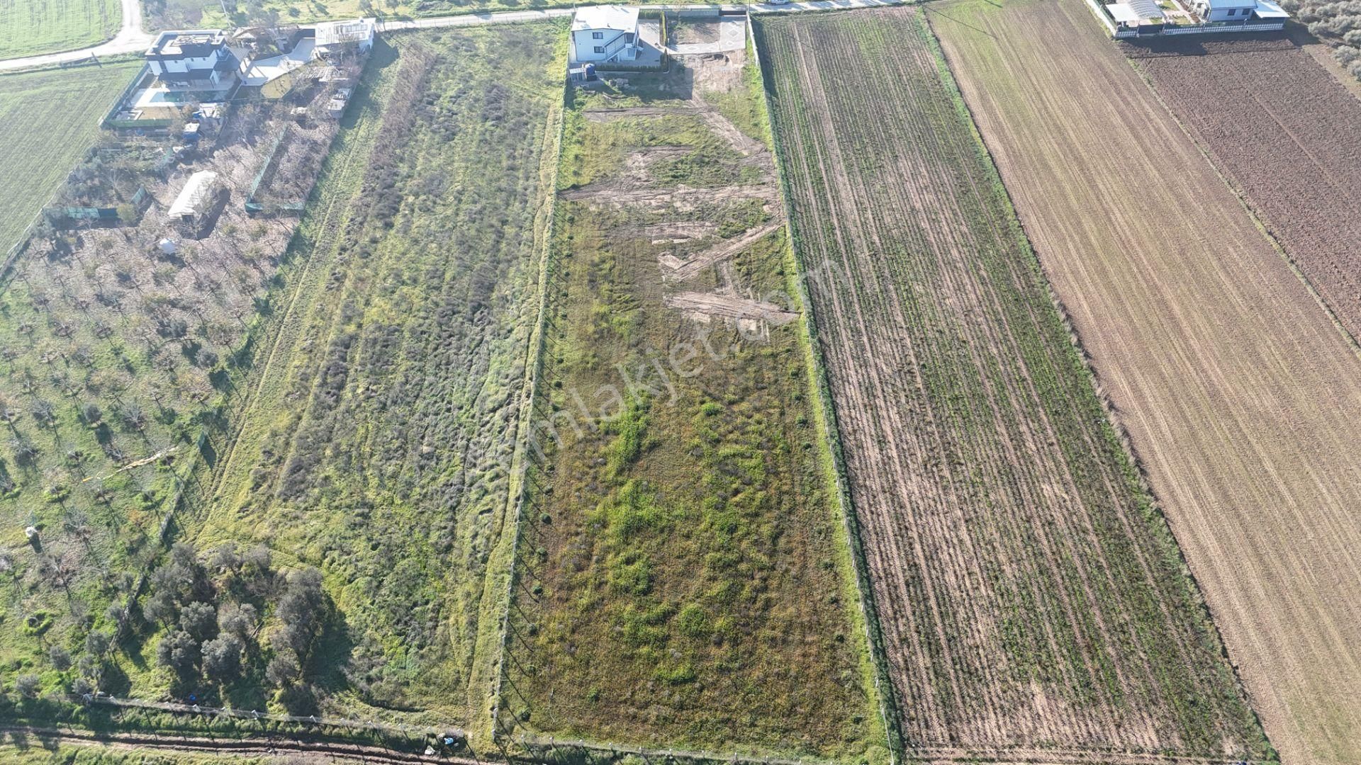 İzmir Menderes Tekelide 7 Dönüm Arsa 3+1 Ev Elektrik Su Kiralık Çiftlik - Görsel 26