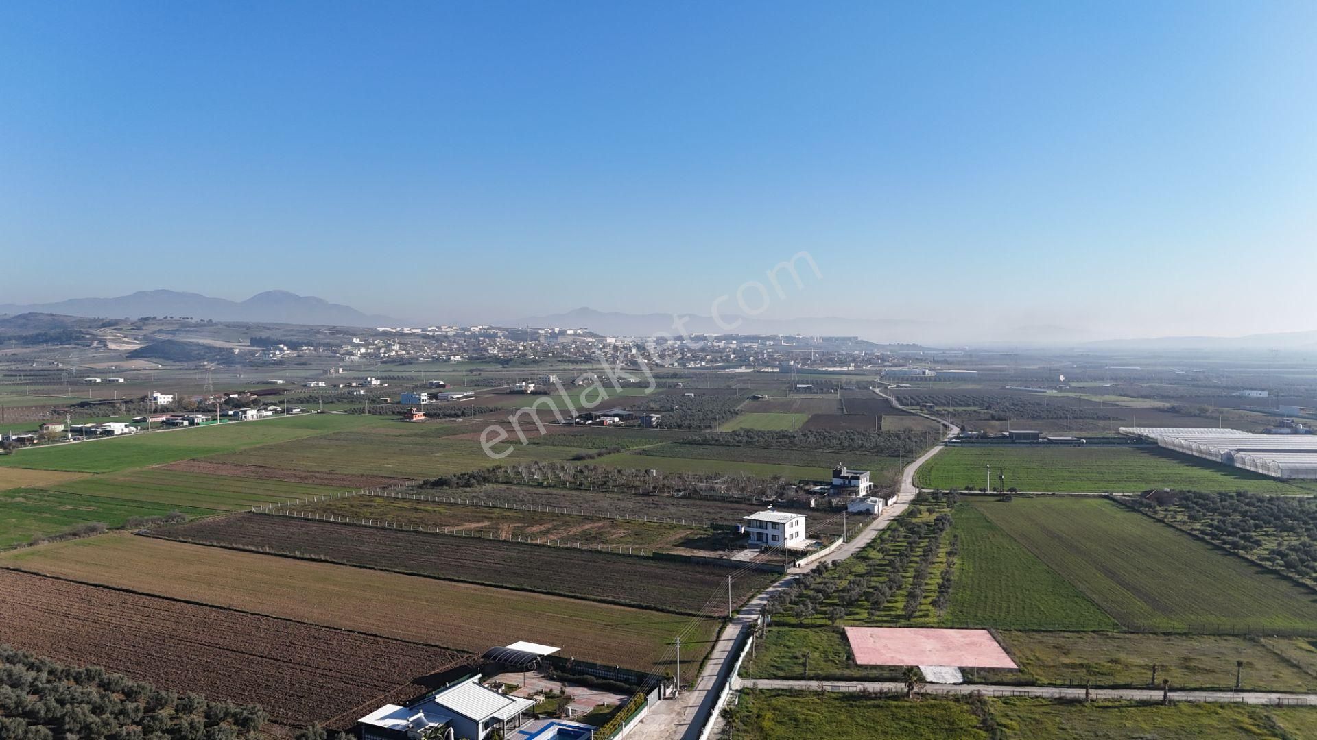 İzmir Menderes Tekelide 7 Dönüm Arsa 3+1 Ev Elektrik Su Kiralık Çiftlik - Görsel 27