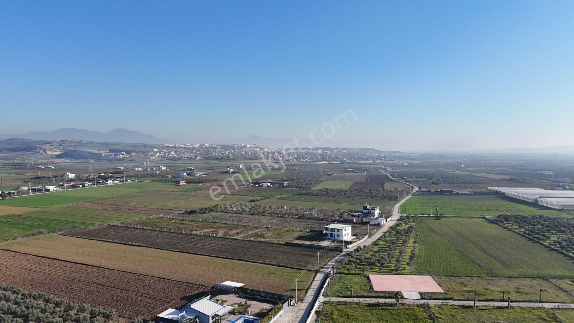 İzmir Menderes Tekelide 7 Dönüm Arsa 3+1 Ev Elektrik Su Kiralık Çiftlik - Görsel 16