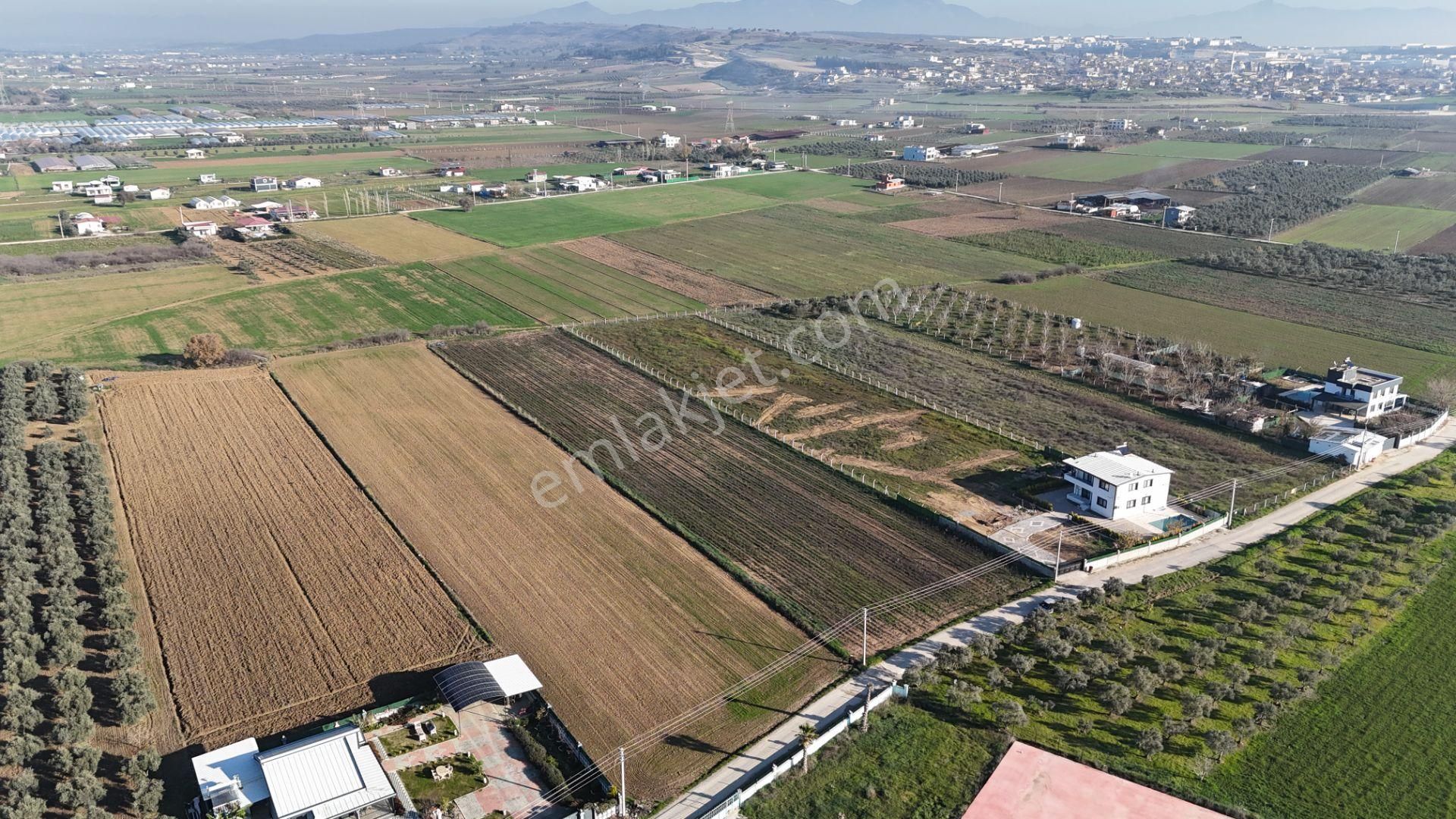 İzmir Menderes Tekelide 7 Dönüm Arsa 3+1 Ev Elektrik Su Kiralık Çiftlik - Görsel 13