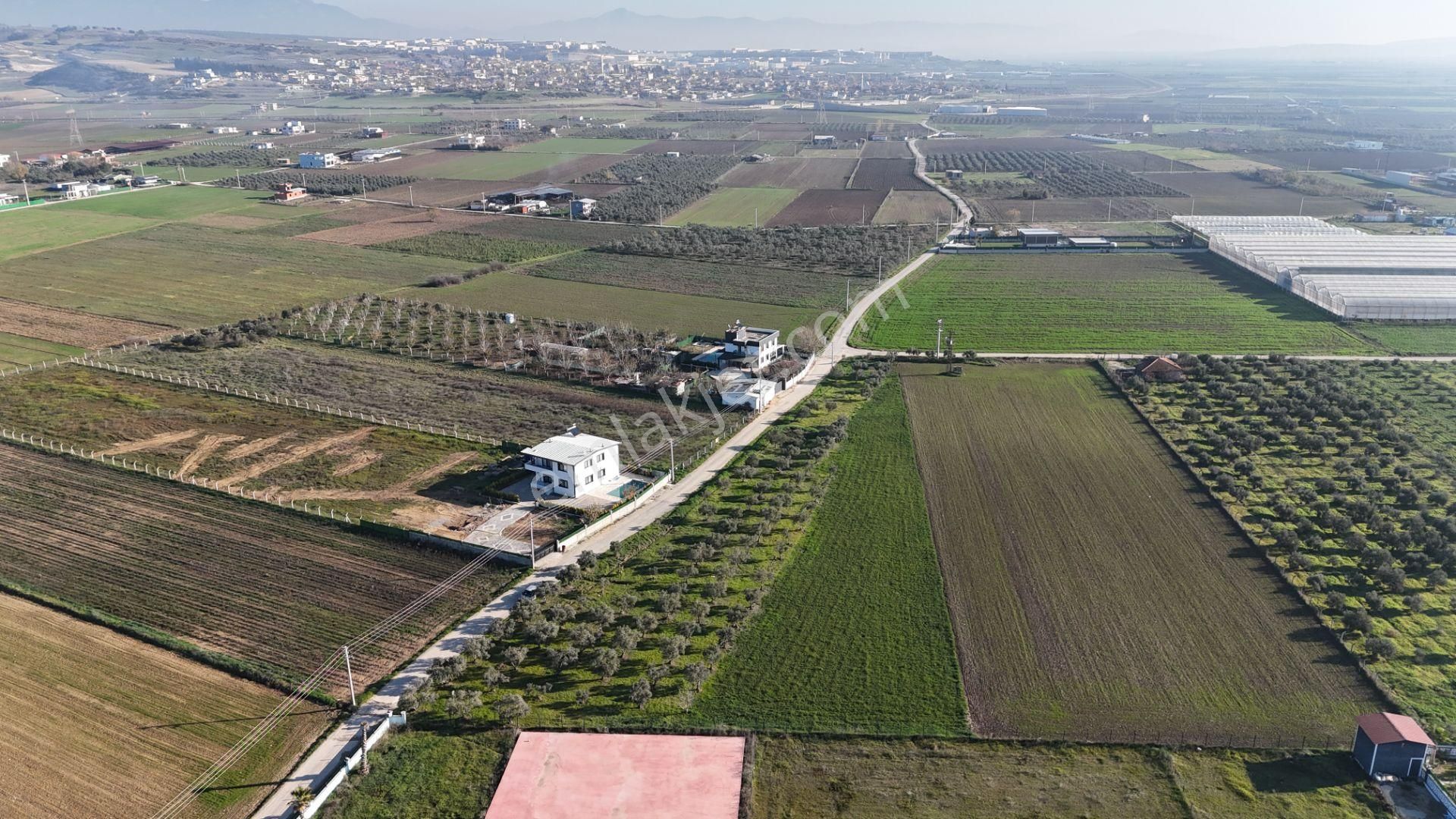 İzmir Menderes Tekelide 7 Dönüm Arsa 3+1 Ev Elektrik Su Kiralık Çiftlik - Görsel 31