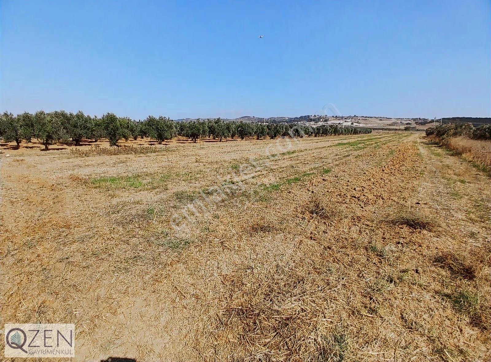 Qzenden Tekelide 4.110 M2 Satılık Tarla - Görsel 7