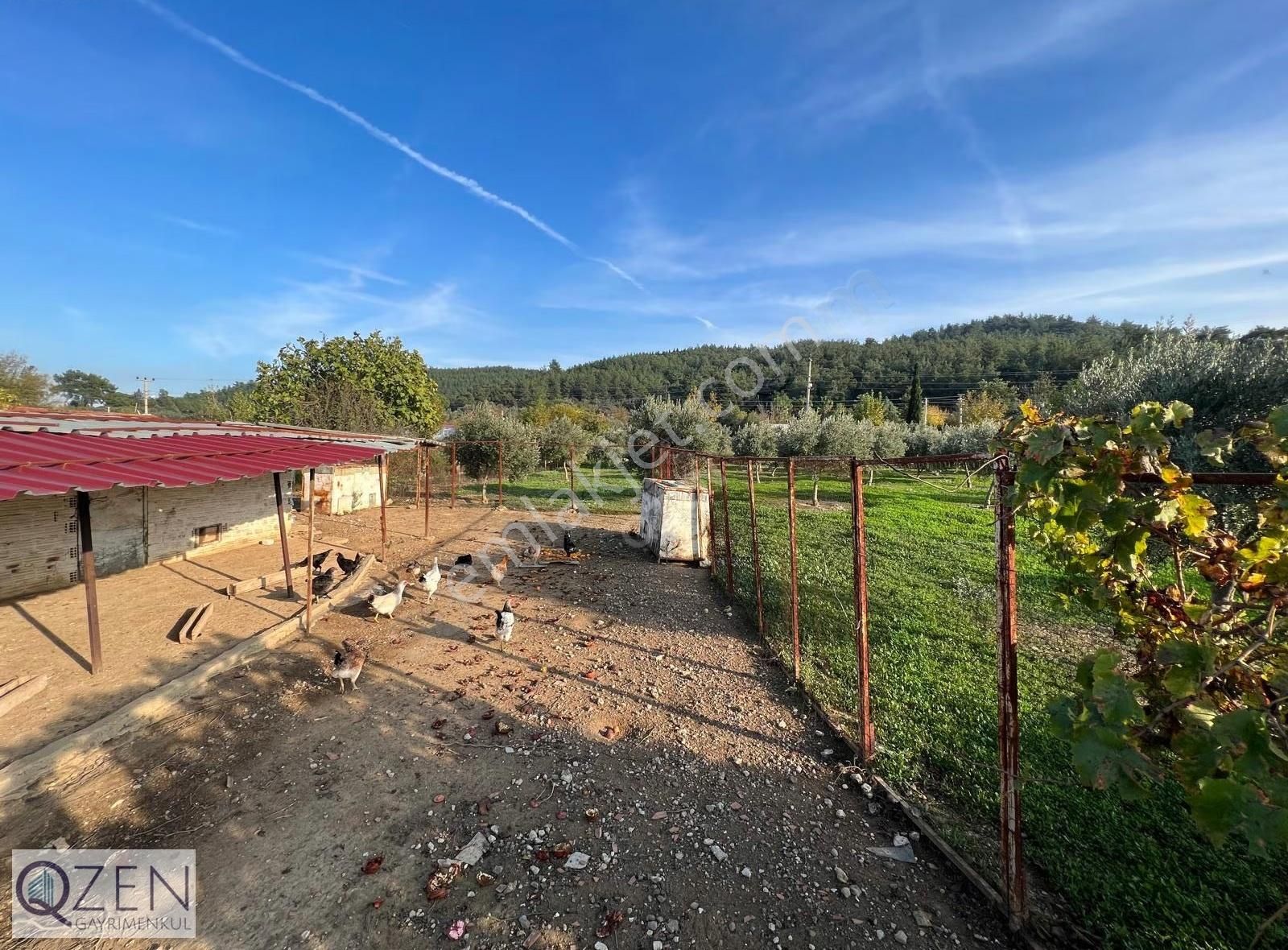 Qzen'den Değirmendere'de Ana Yola Cepheli 7.167m2 Resmi Ev Tarla - Görsel 6