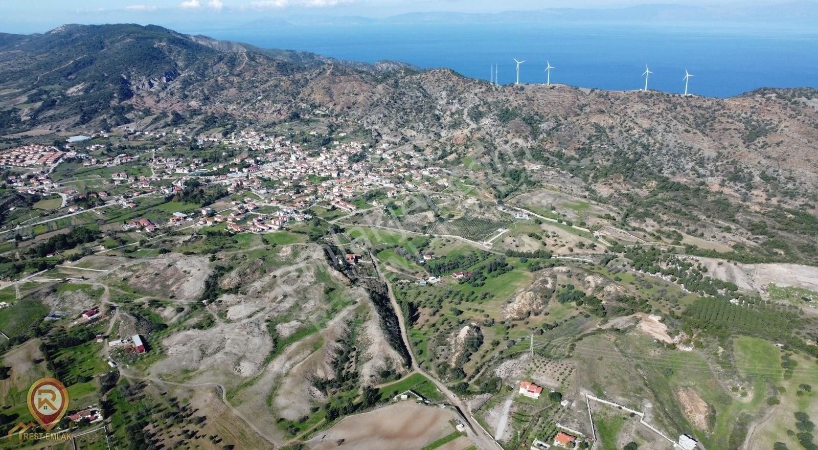 Kızlana Yakın Yolun Kenarında Tarla - Görsel 18