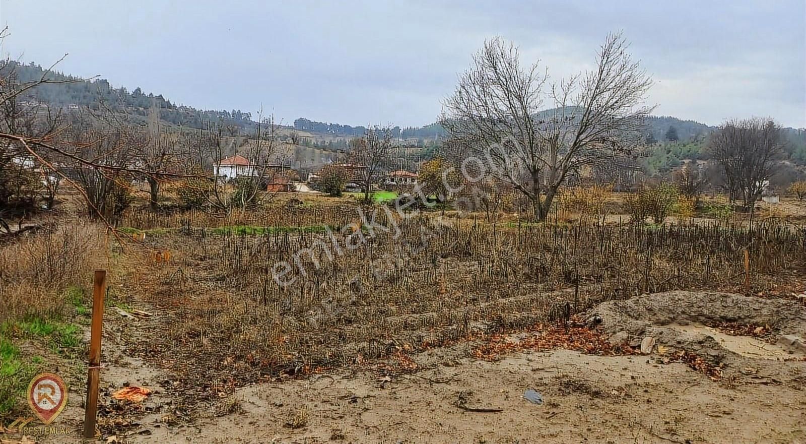 Rest Emlaktan Çamoluk Mah. Yatırıma Uygun Satılık Tarla - Görsel 5