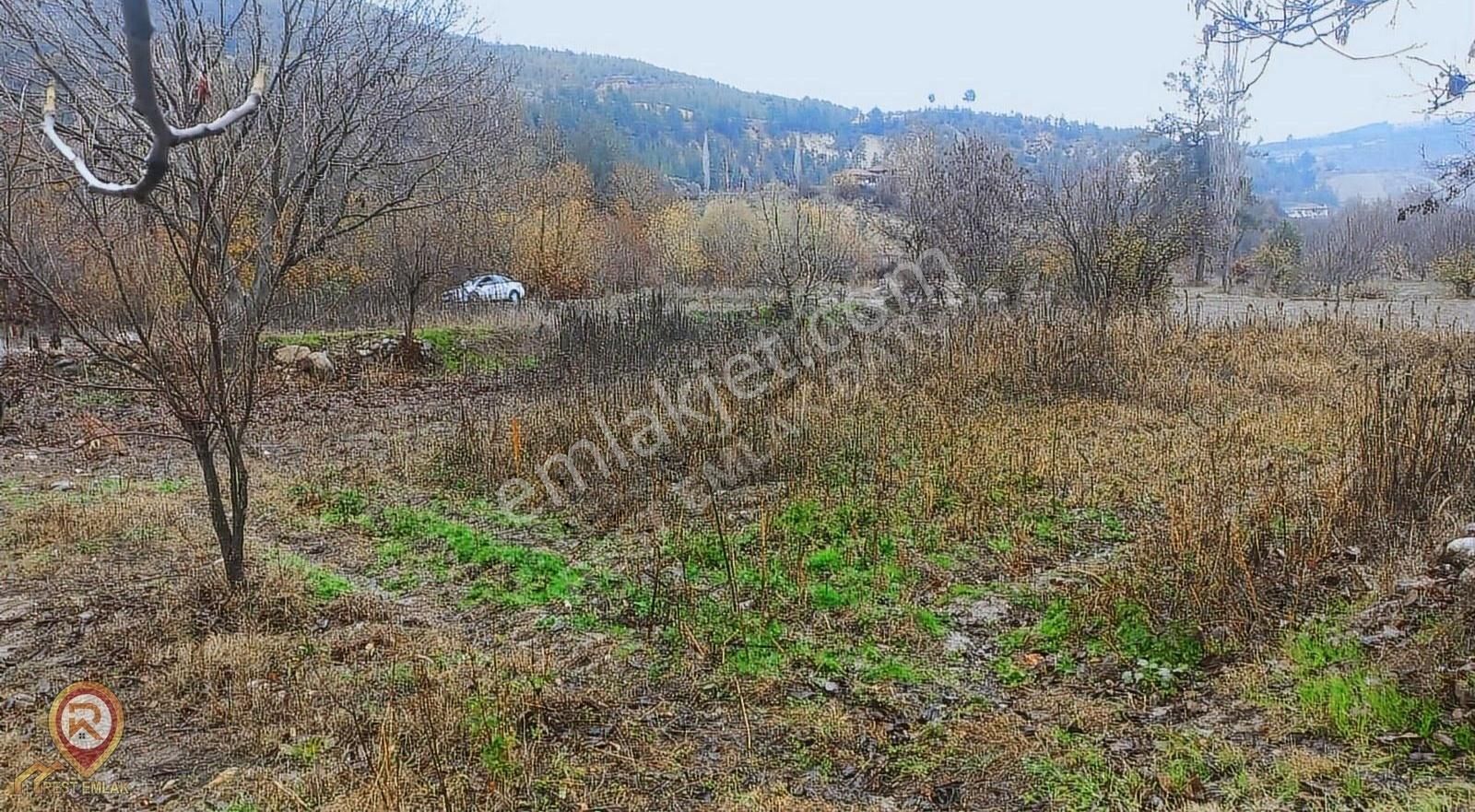 Rest Emlaktan Çamoluk Mah. Yatırıma Uygun Satılık Tarla - Görsel 2