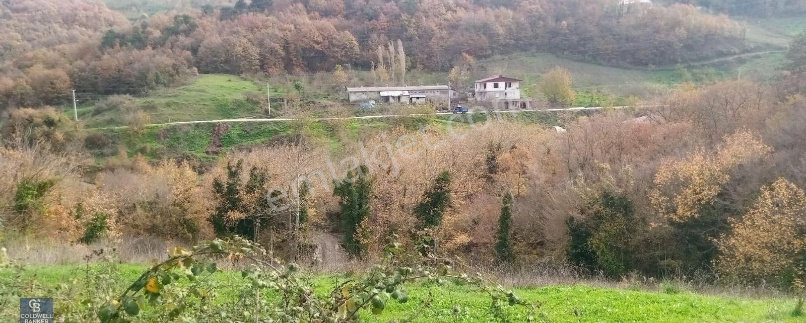 Geyve Akincida Manzaralı Yola Cepheli Satılık Tarla Elektrik Var