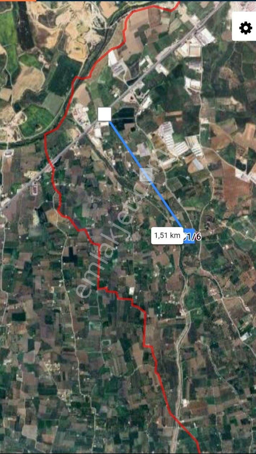 Kemalpaşa Bağyurdu'nda Değerı Her Geçen Gün Artan Kıraz Bahçesı - Görsel 17