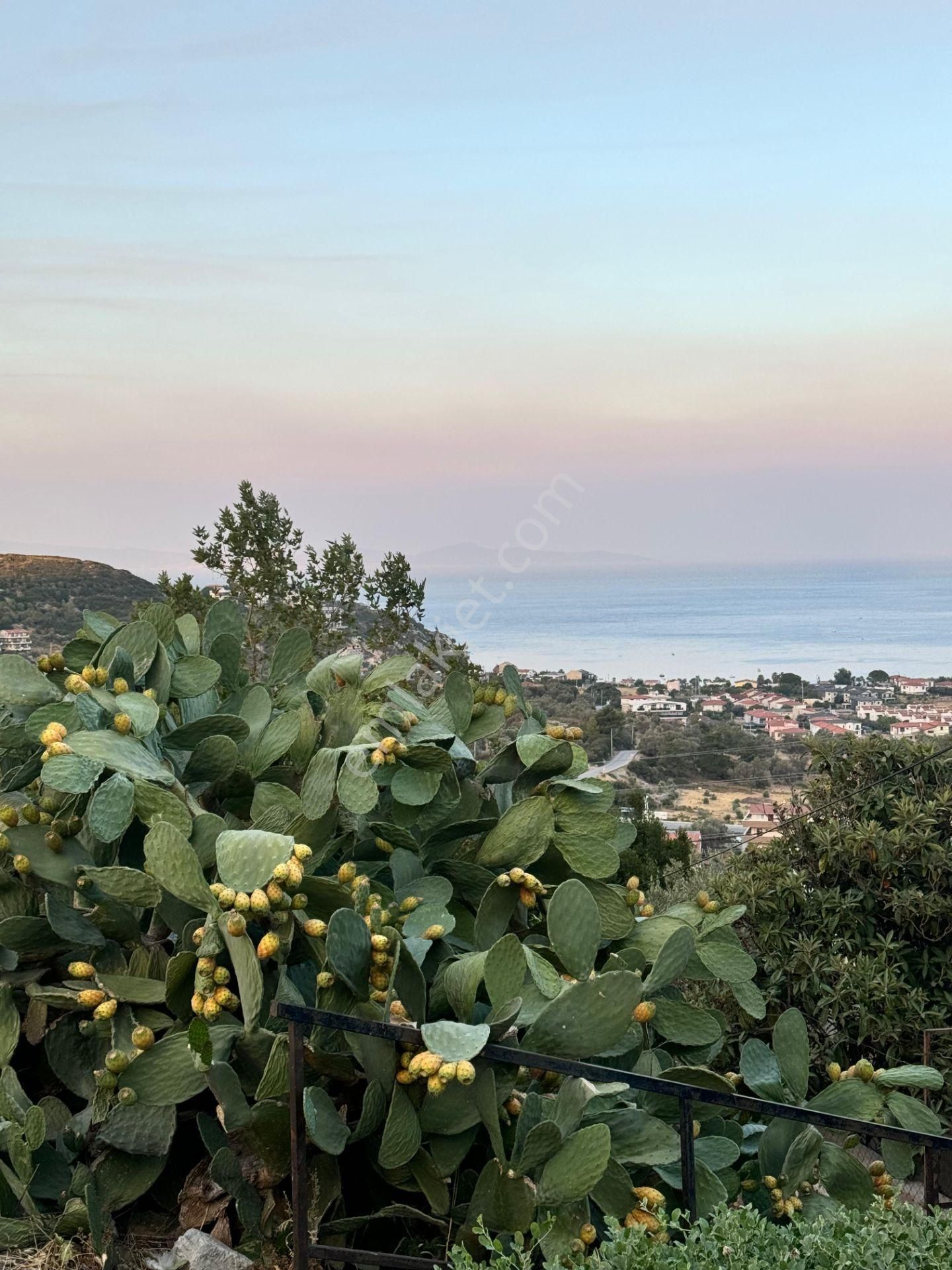 İzmir Karaburun İskelede Deniz Manzaralı Satılık Müstakil Ev - Görsel 2