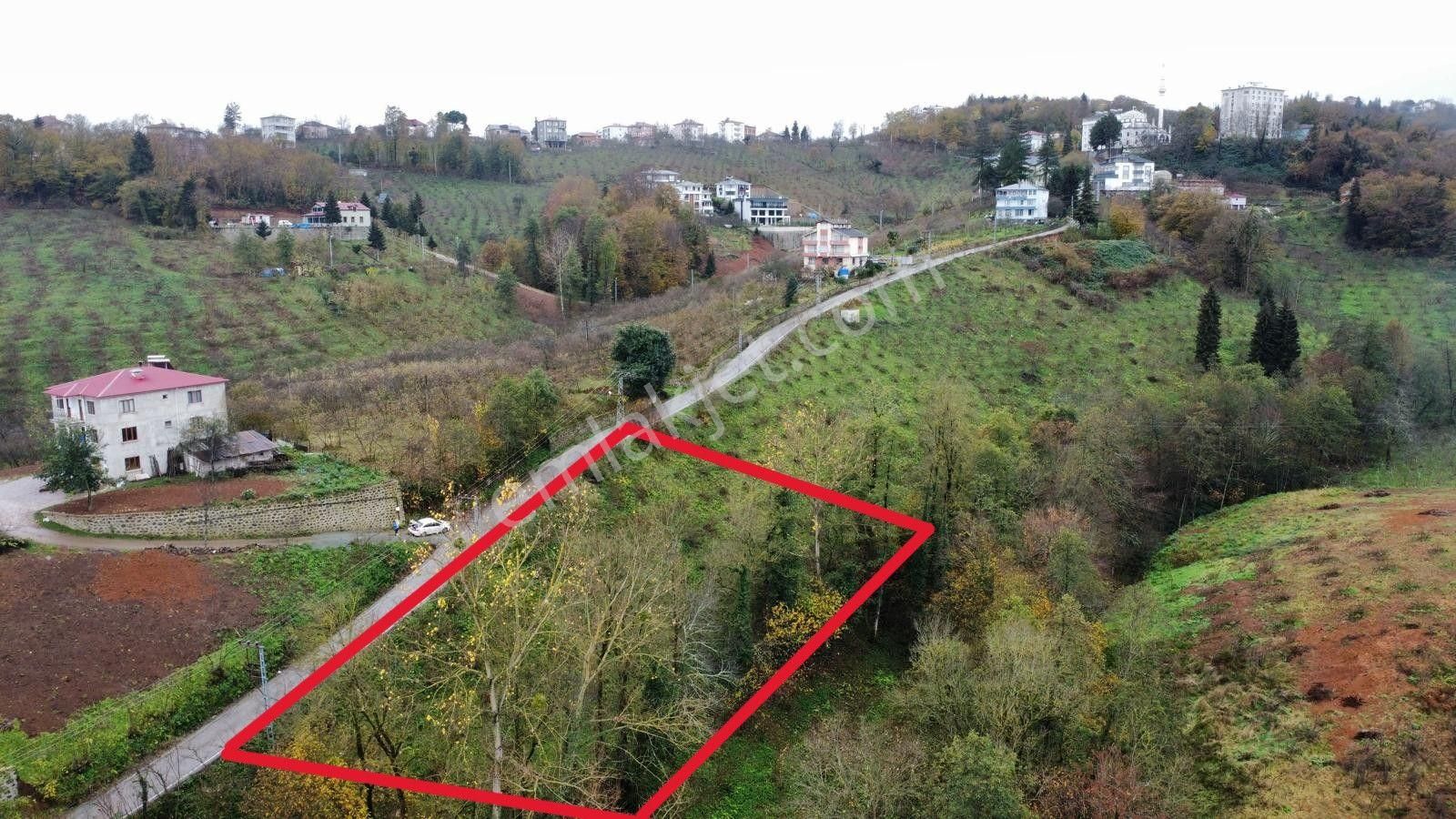 Trabzon Kavalada Satılık Arazi - Görsel 3