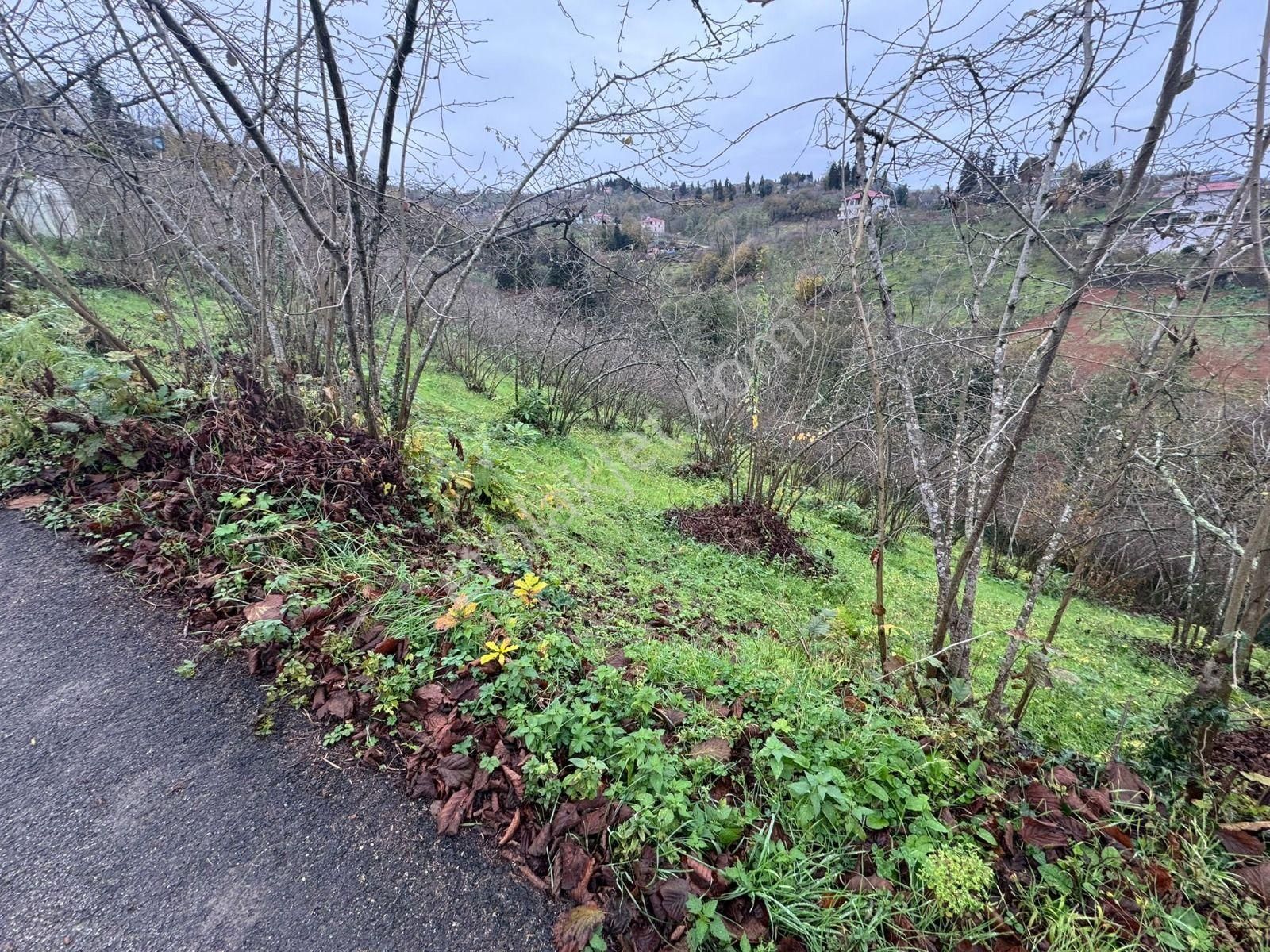 Trabzon Kavalada Satılık Arazi - Görsel 35