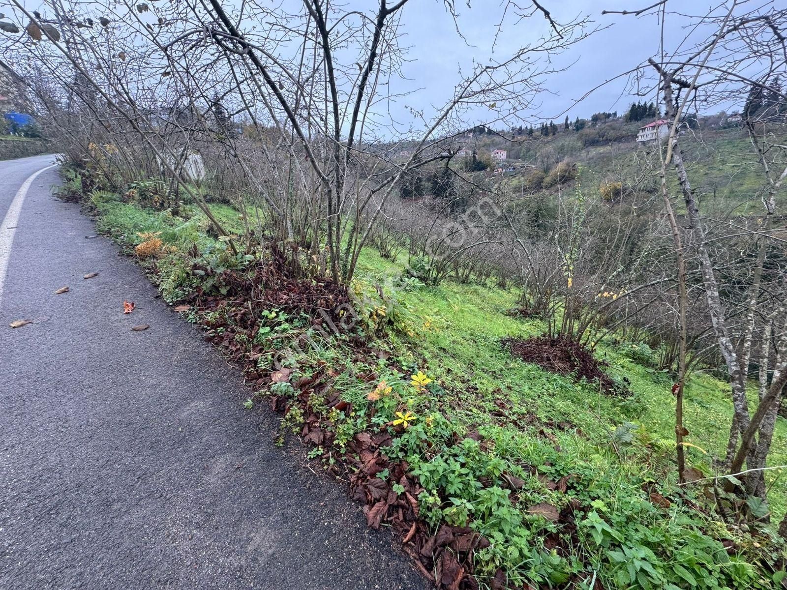 Trabzon Kavalada Satılık Arazi - Görsel 32