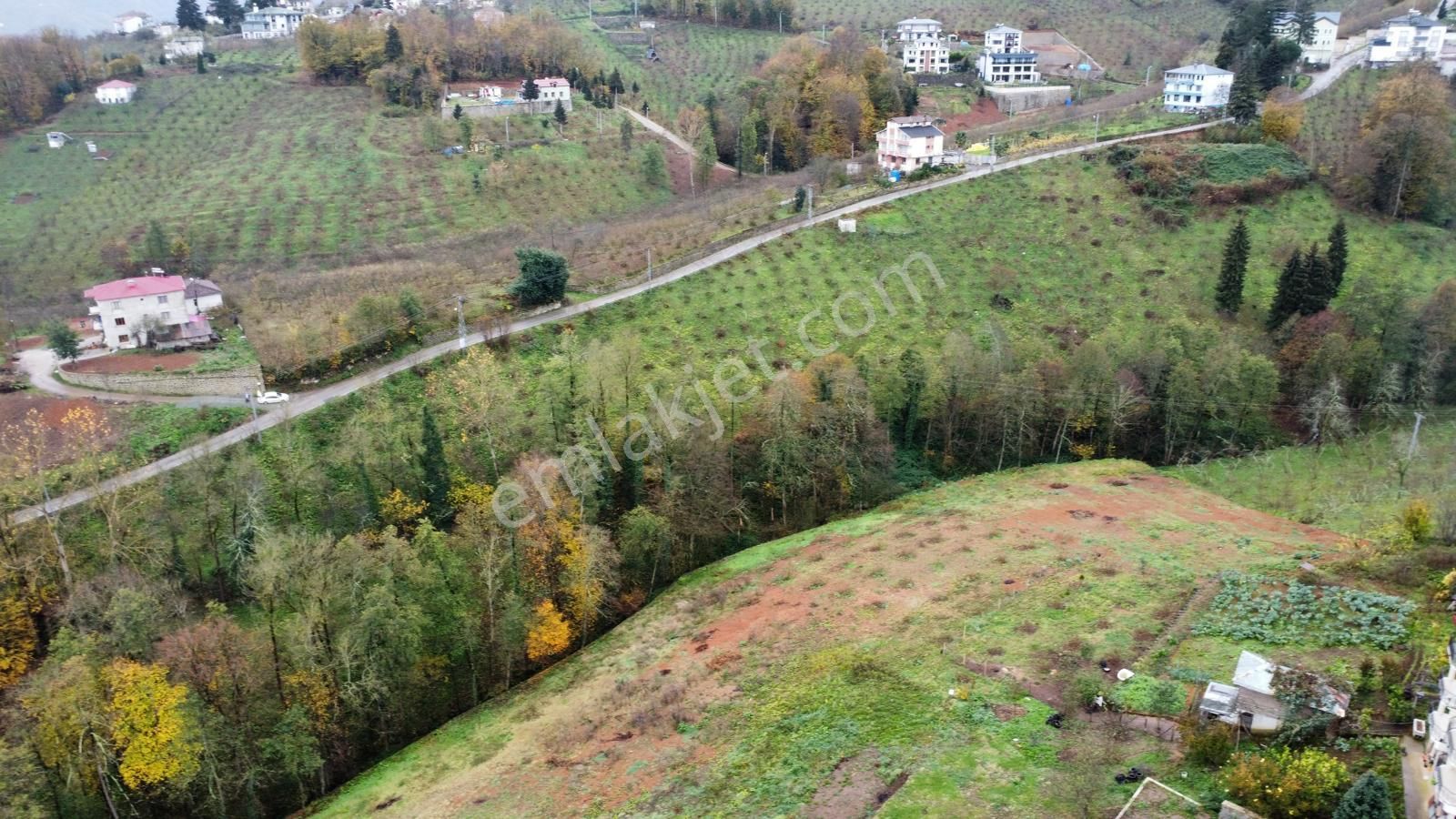Trabzon Kavalada Satılık Arazi - Görsel 6