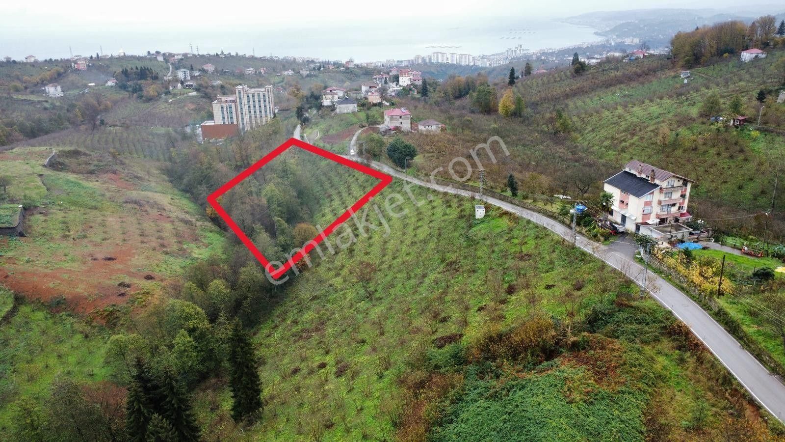 Trabzon Kavalada Satılık Arazi - Görsel 4