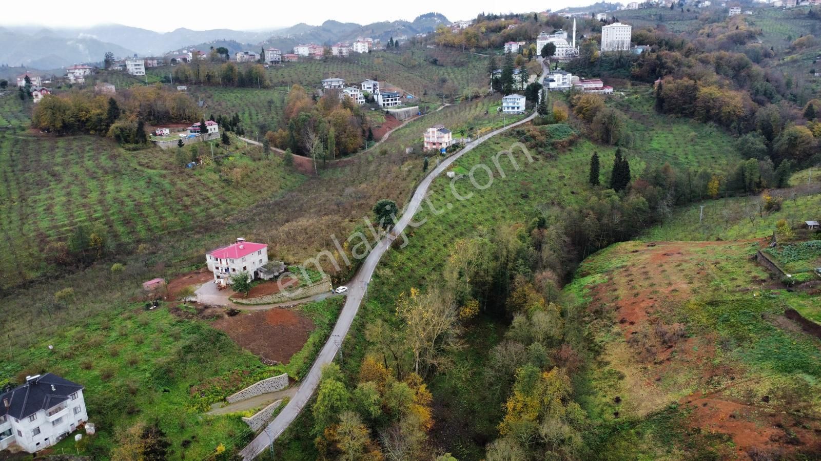 Trabzon Kavalada Satılık Arazi - Görsel 16