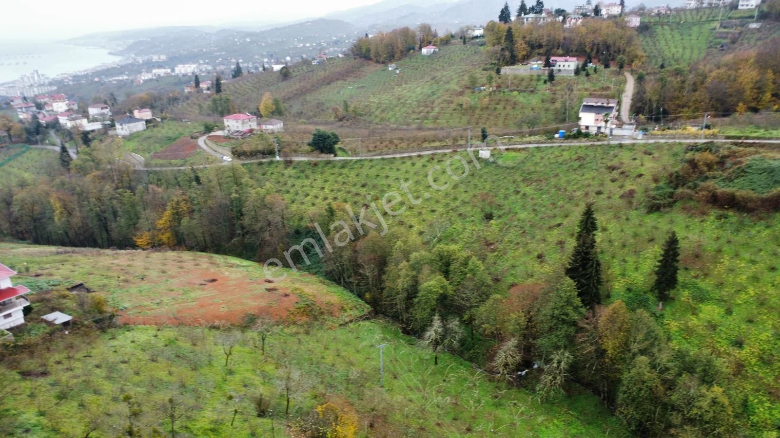 Trabzon Kavalada Satılık Arazi - Görsel 2