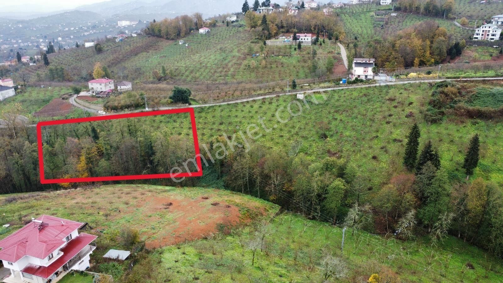 Trabzon Kavalada Satılık Arazi - Görsel 7