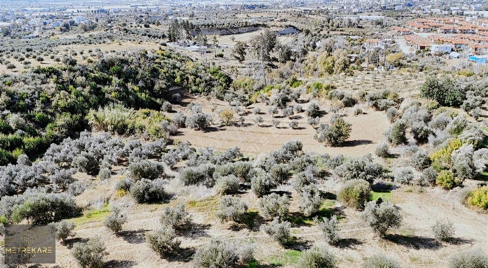 Metrekare Emlak'tan 2150 M2 Tarla - Görsel 11