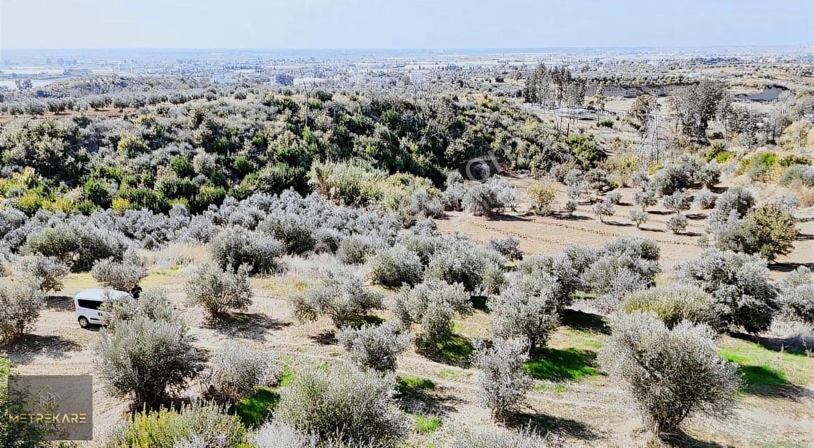 Metrekare Emlak'tan 2150 M2 Tarla - Görsel 10