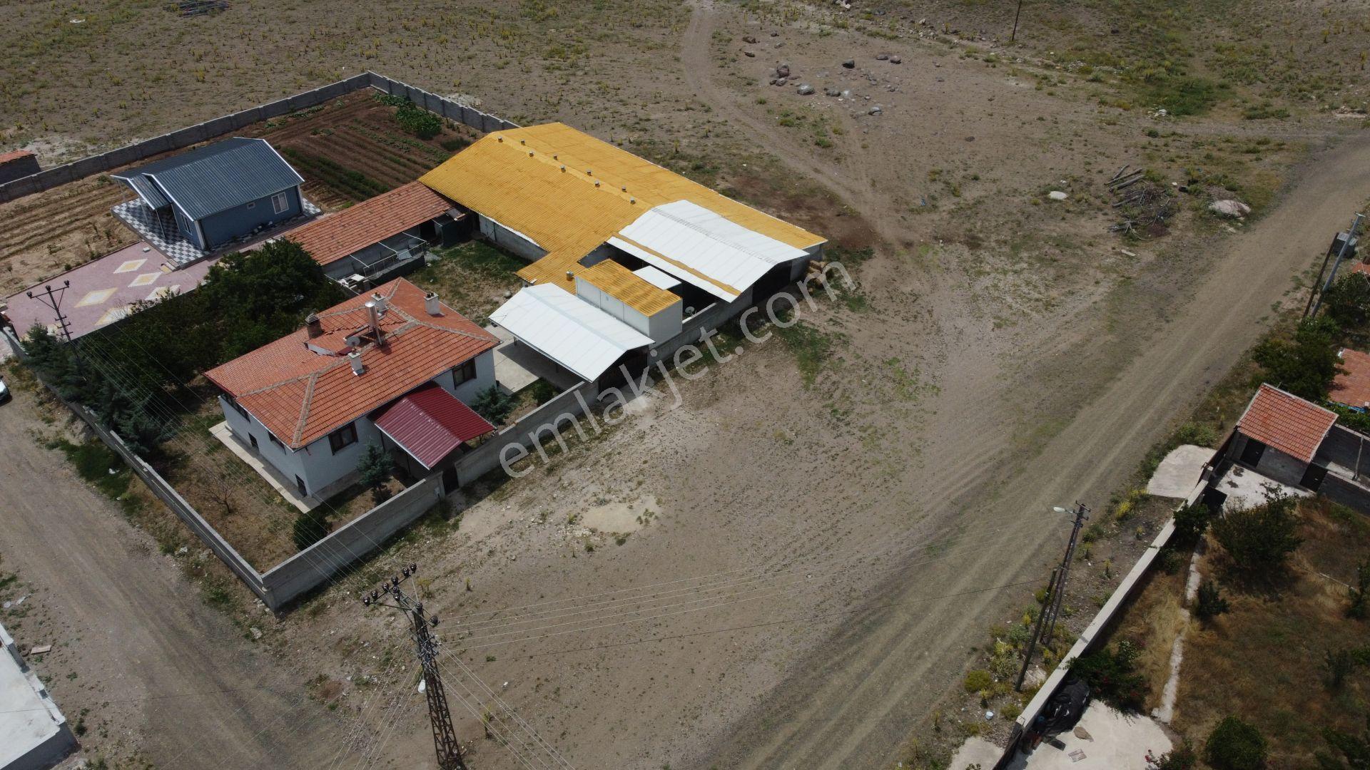 Hatunsaray Da 1.352 M2 Hazır Kurulu Çiftlik Evi - Görsel 4