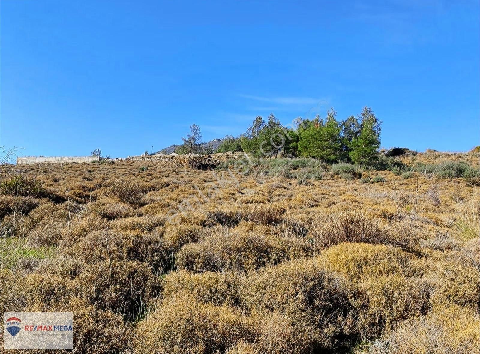 Adrasanda Fırsat Tarla - Görsel 17