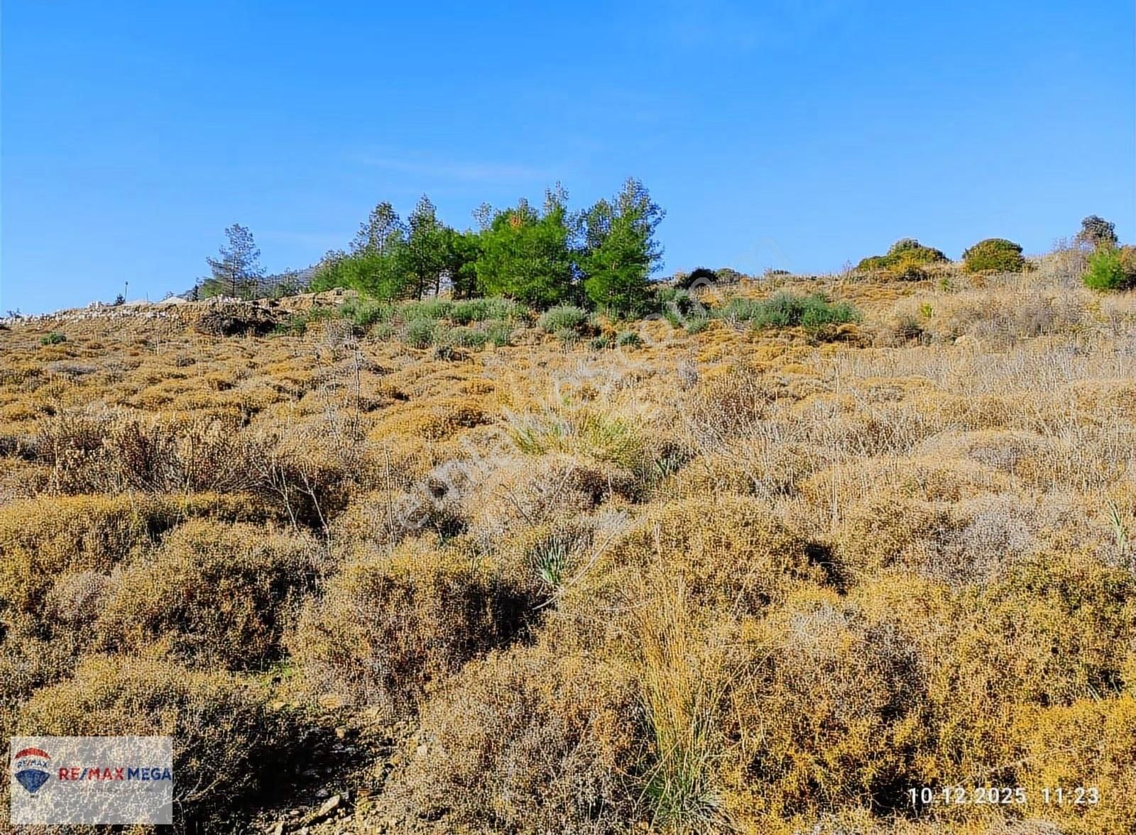 Adrasanda Fırsat Tarla - Görsel 15