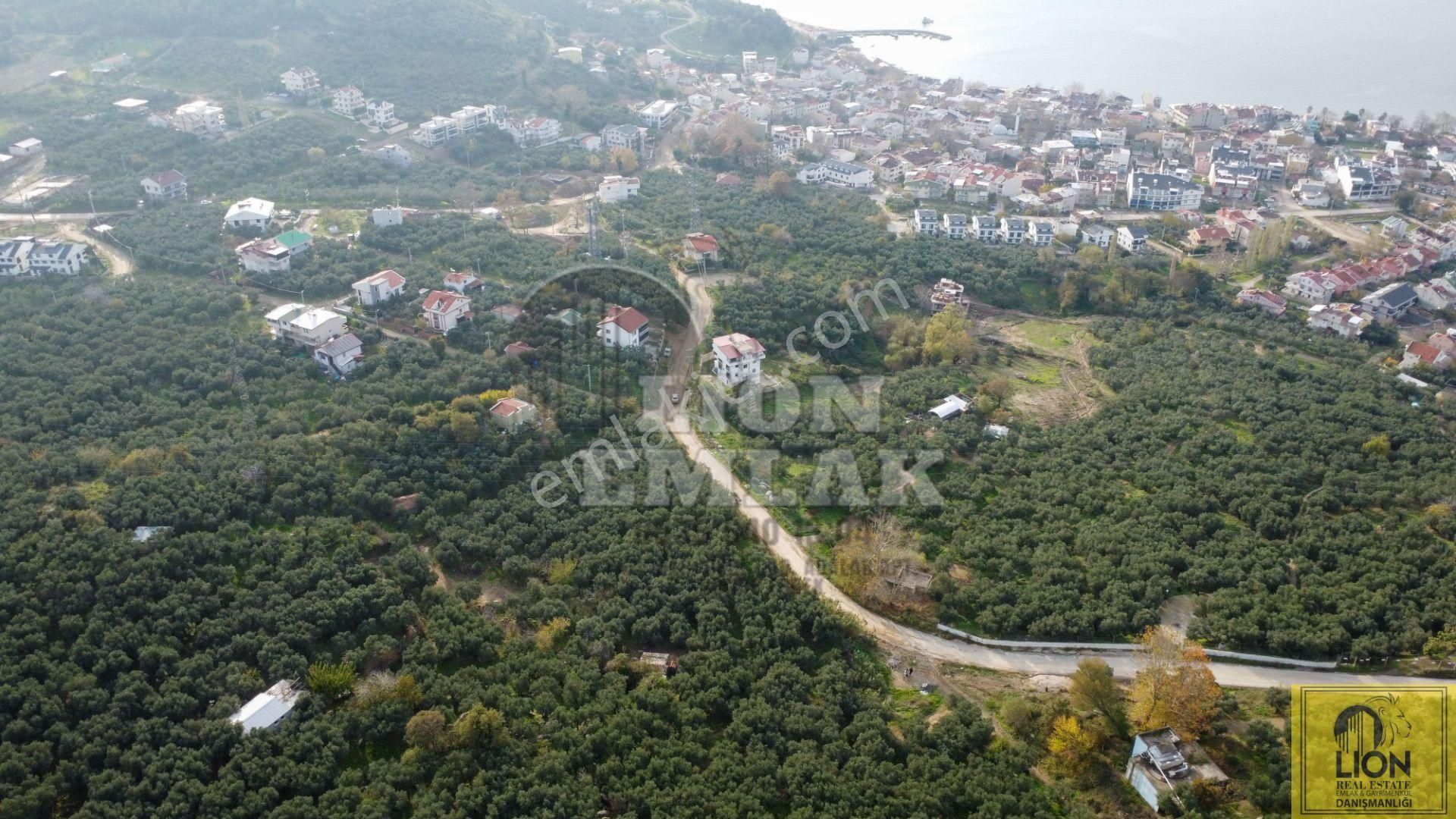 🟨⬛lıon Emlak'tan Erdek Ocaklar Mahallesinde Deniz Manzaralı 4575 M² Fırsat Zeytinlik⬛🟨 - Görsel 5
